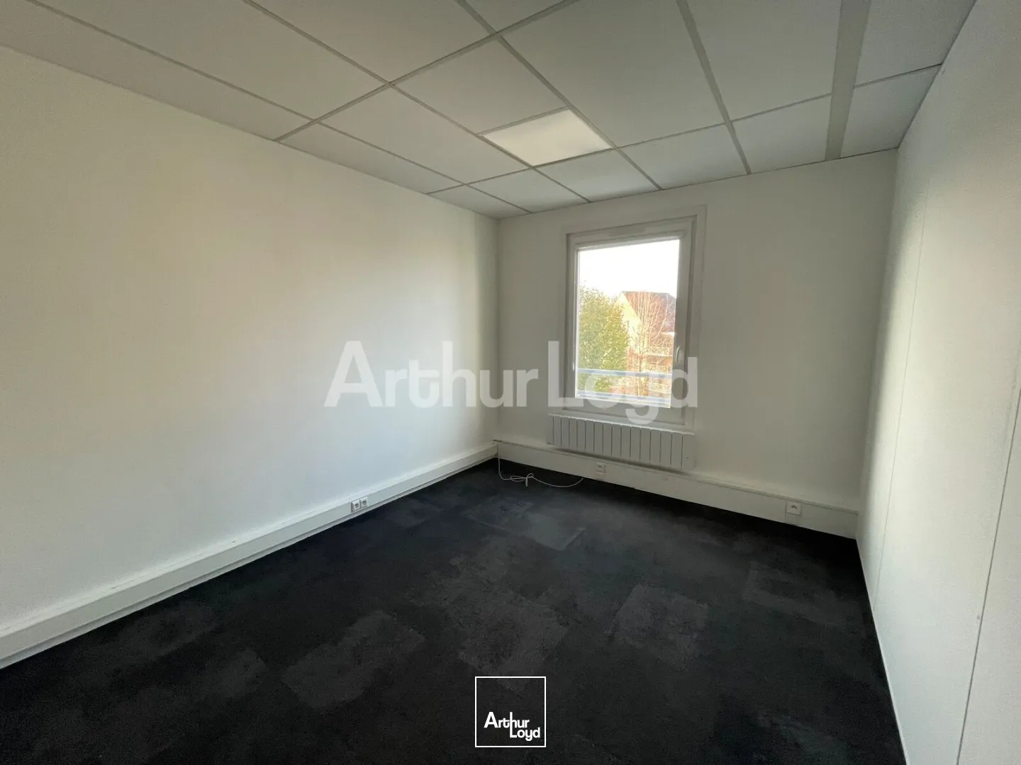 Bureaux - Location - LILLE - 59000 - 181-181 - 7892540