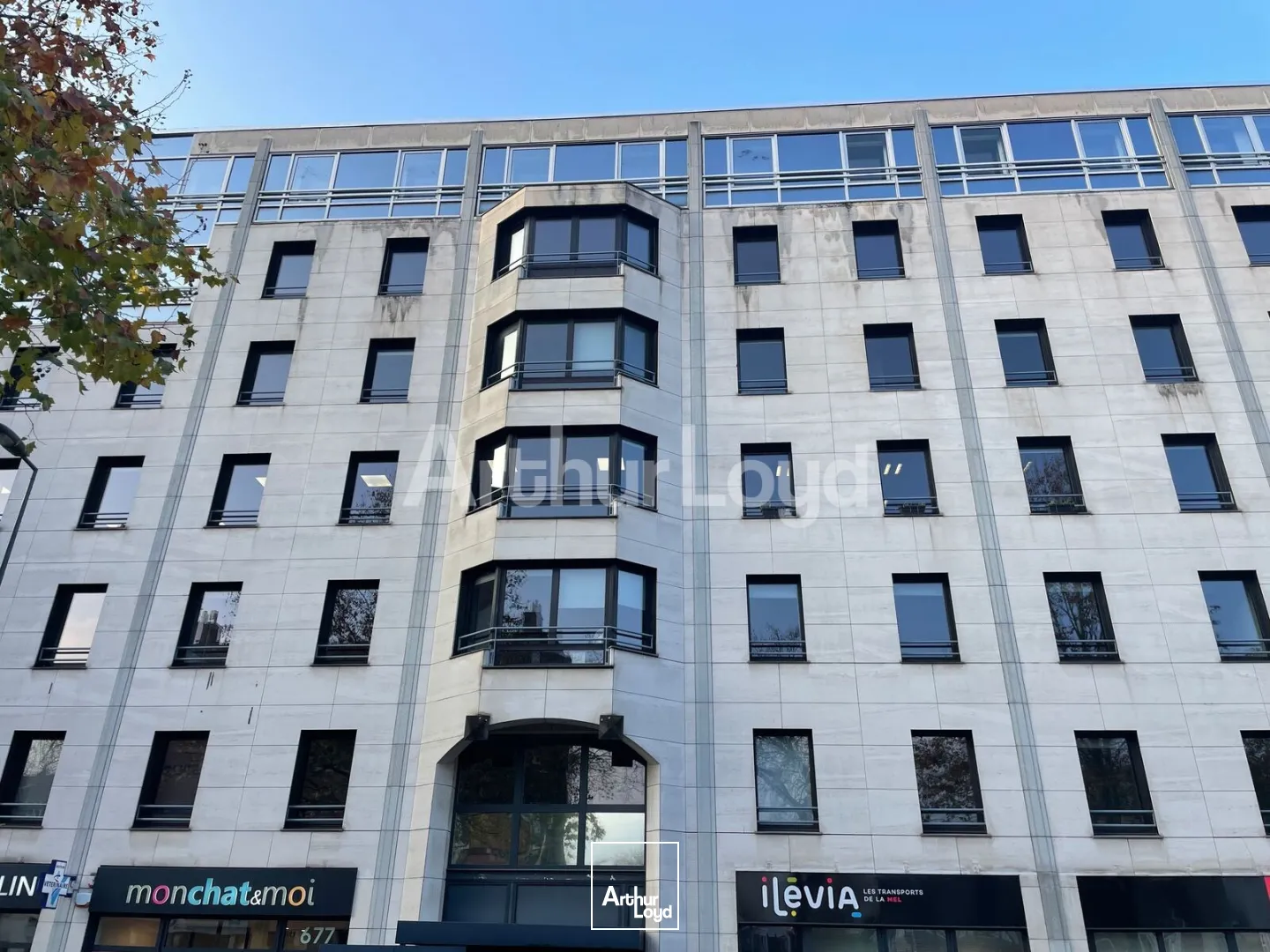 Bureaux - Location - LILLE - 59000 - 181-181 - 7892535
