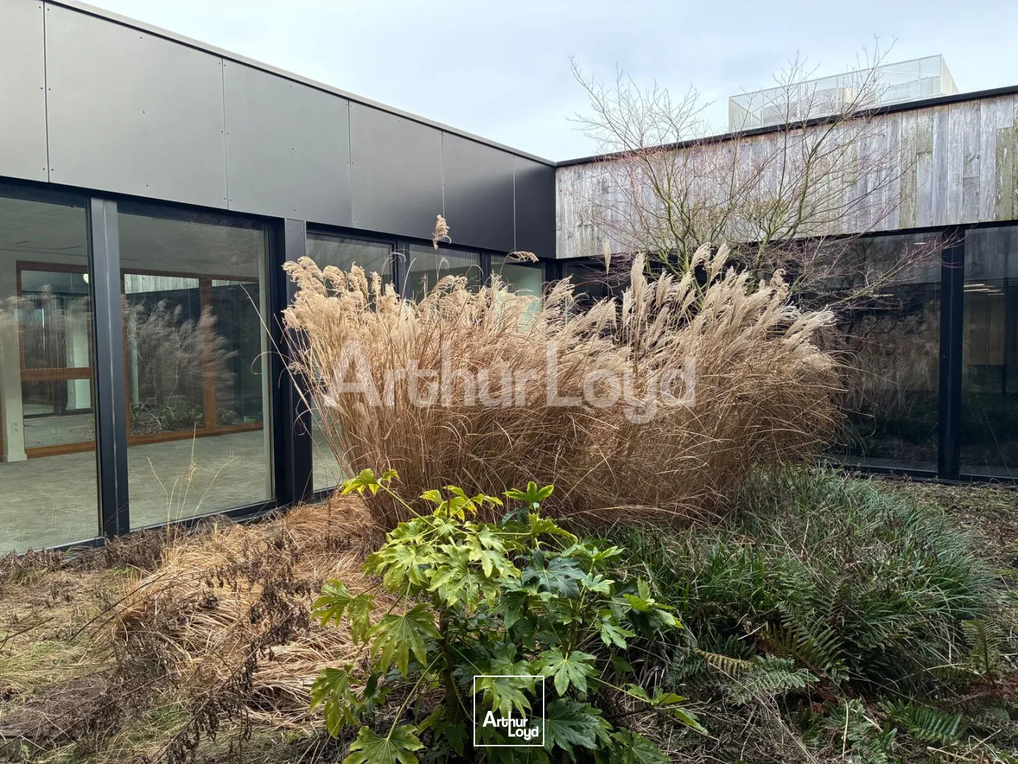 Bureaux - Location - VILLENEUVE D'ASCQ - 59650 - 221-710.25 - 7892754