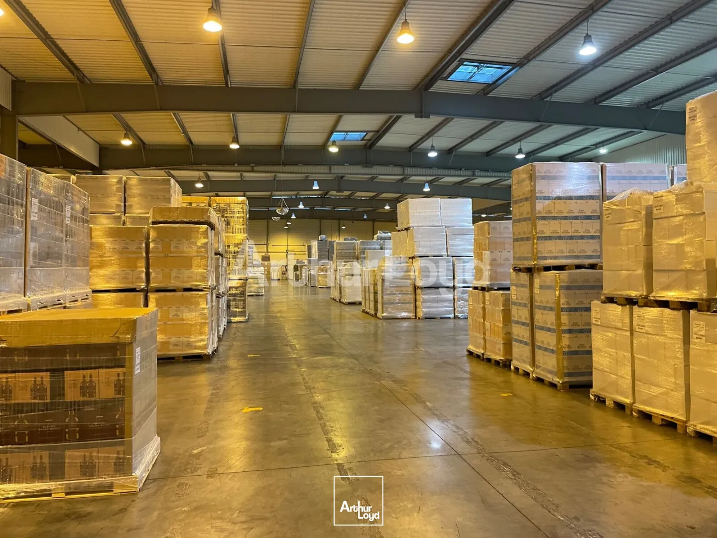 Locaux d'activité & Entrepôts - Location - DOUAI - 59500 - 8200-8200 - 7892750