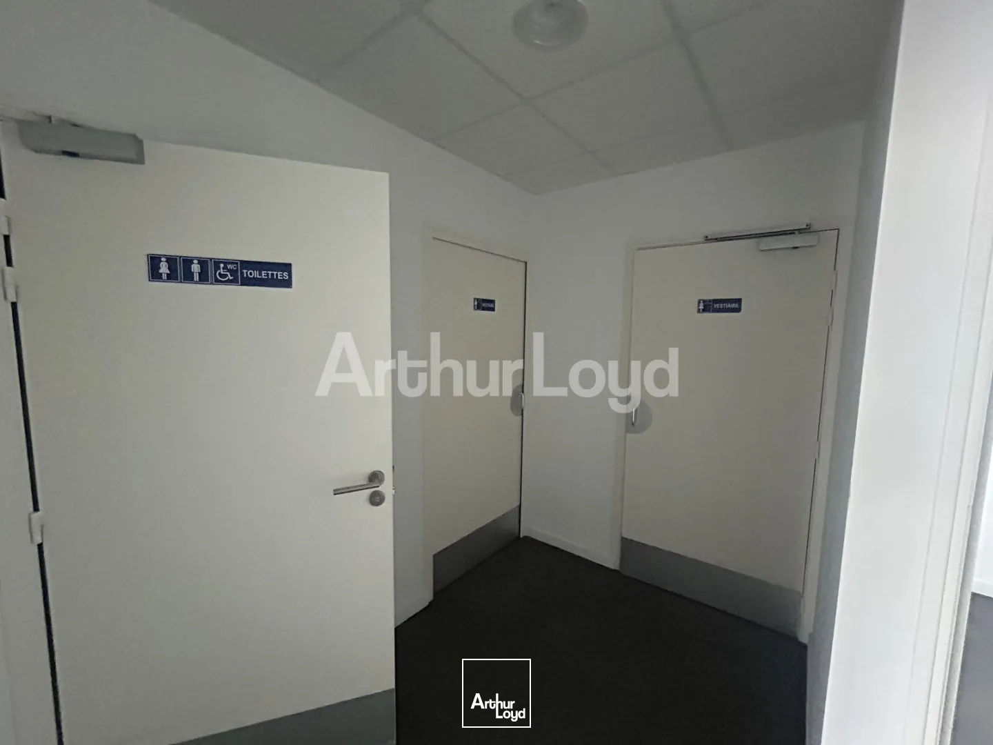 Locaux commerciaux - Location - ENGLOS - 59320 - 223-635 - 7893185