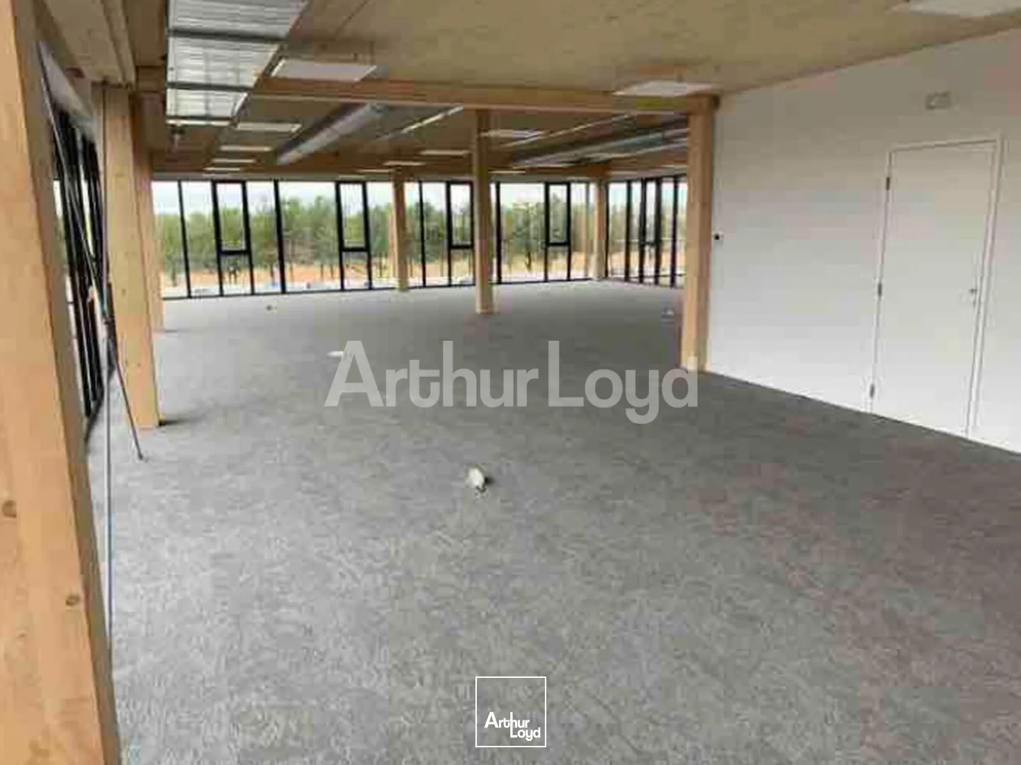 Bureaux - Location - VILLENEUVE D'ASCQ - 59650 - 185-721 - 7893273