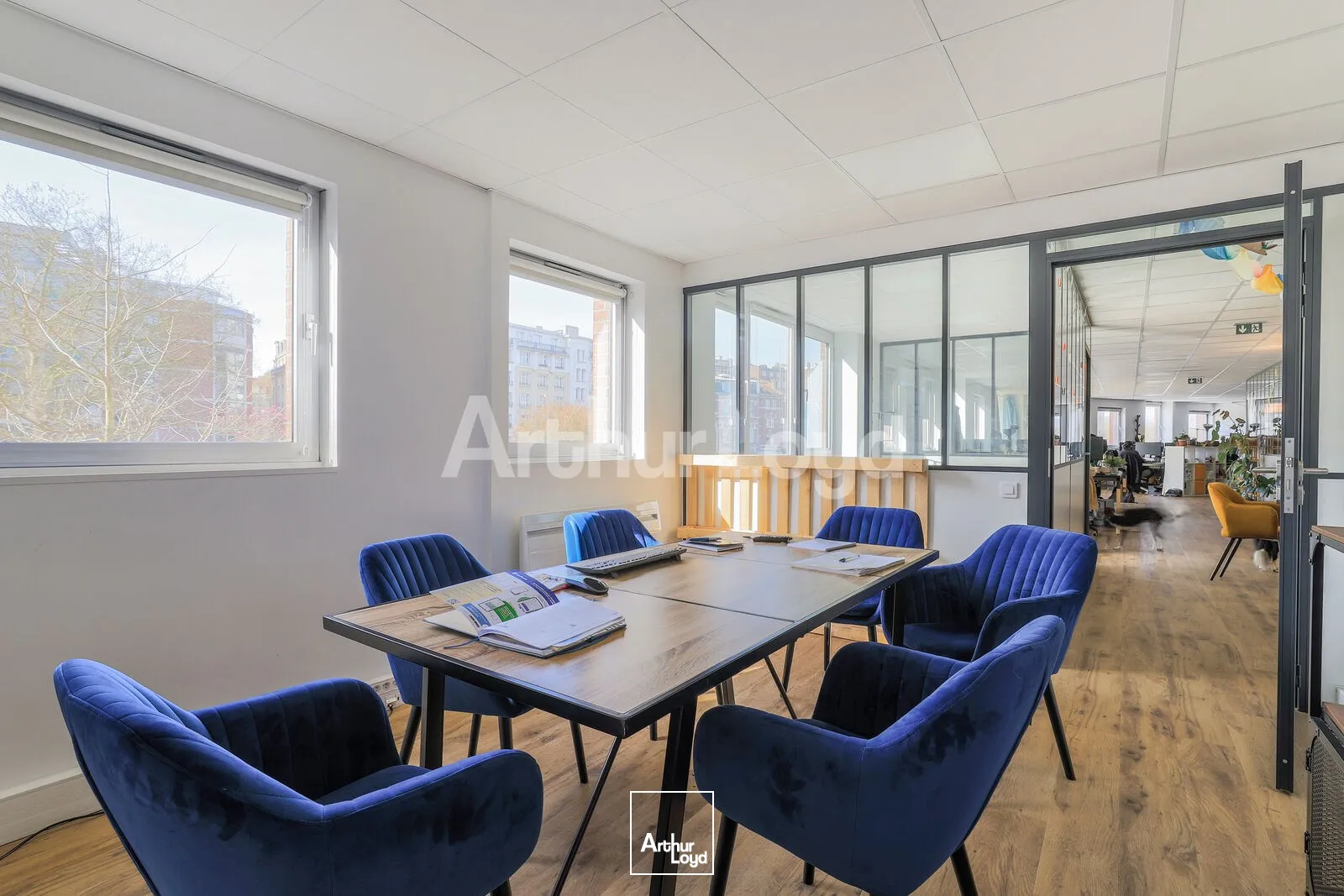 Bureaux - Location - LILLE - 59000 - 315-315 - 7893466