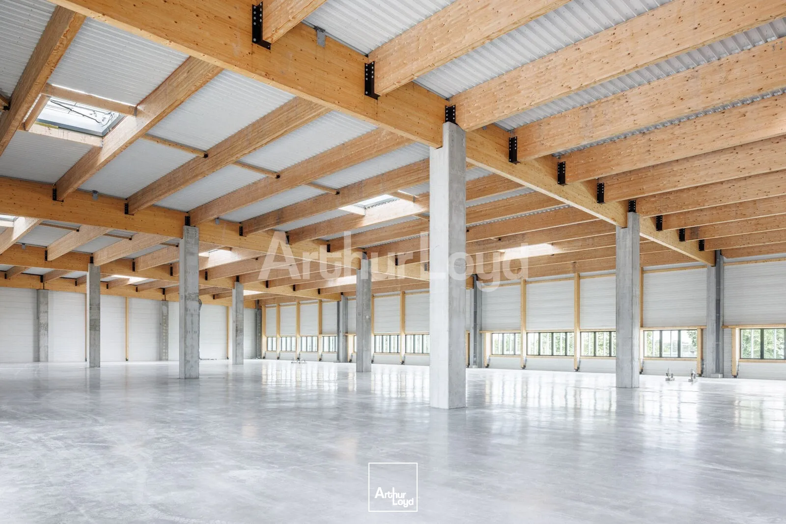 Locaux d'activité & Entrepôts - Location - LEZENNES - 59260 - 500-6000 - 7893552