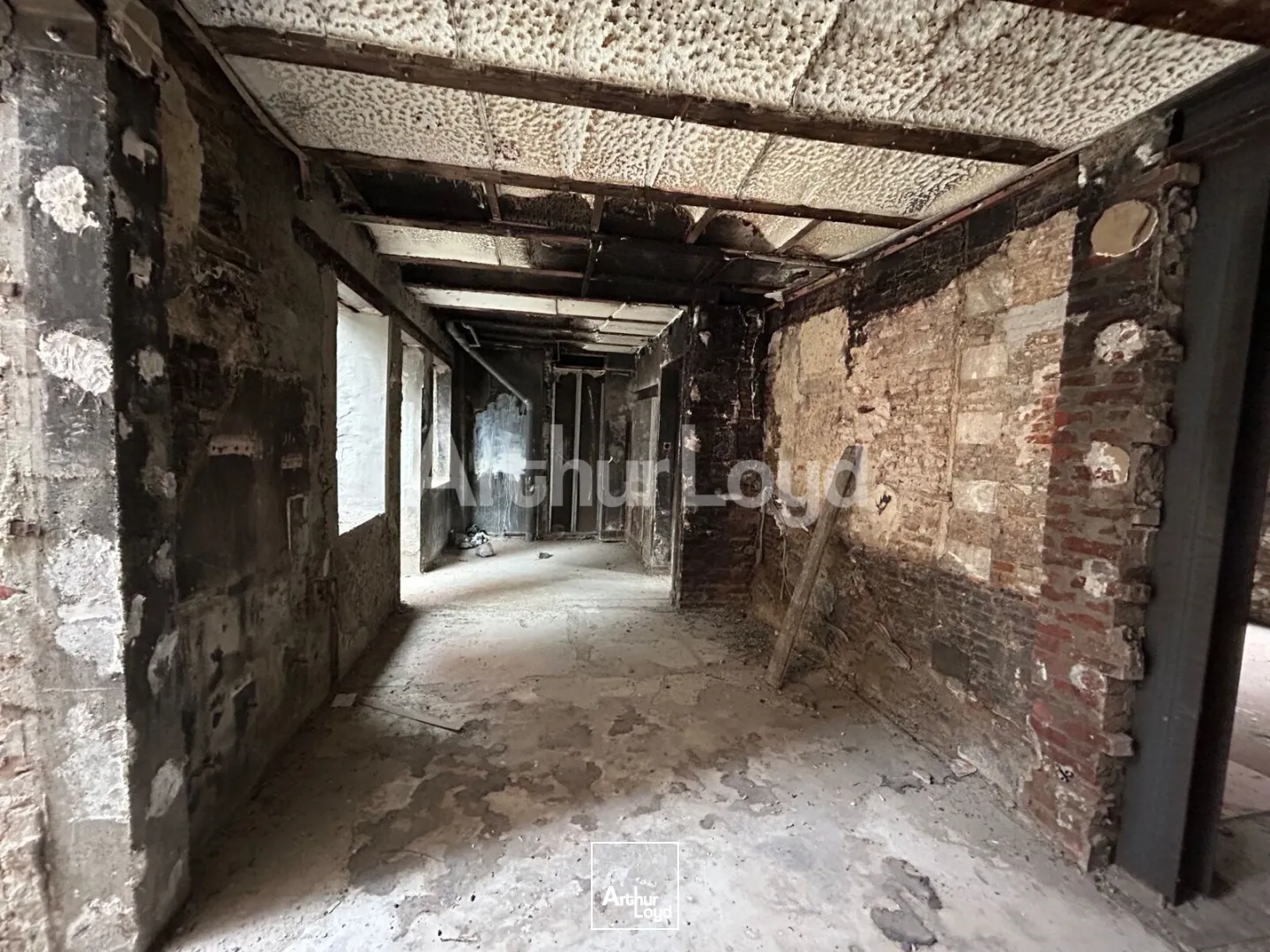 Locaux commerciaux - Location - LILLE - 59000 - 20-135 - 7893581