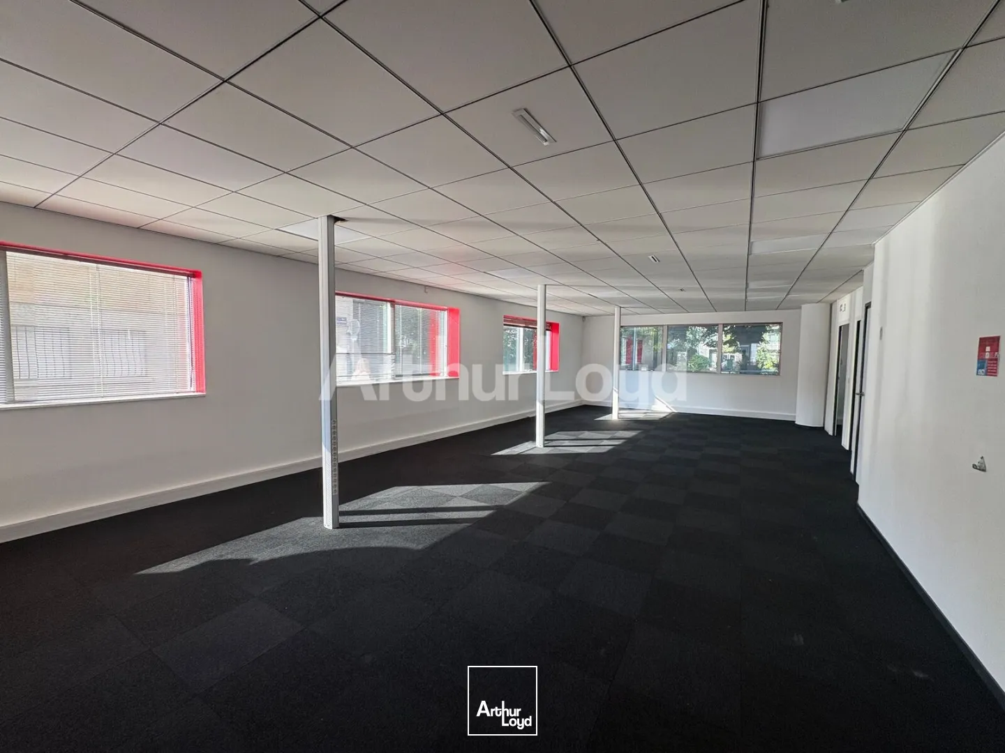 Bureaux - Location - LILLE - 59800 - 198.19-198.19 - 7894243