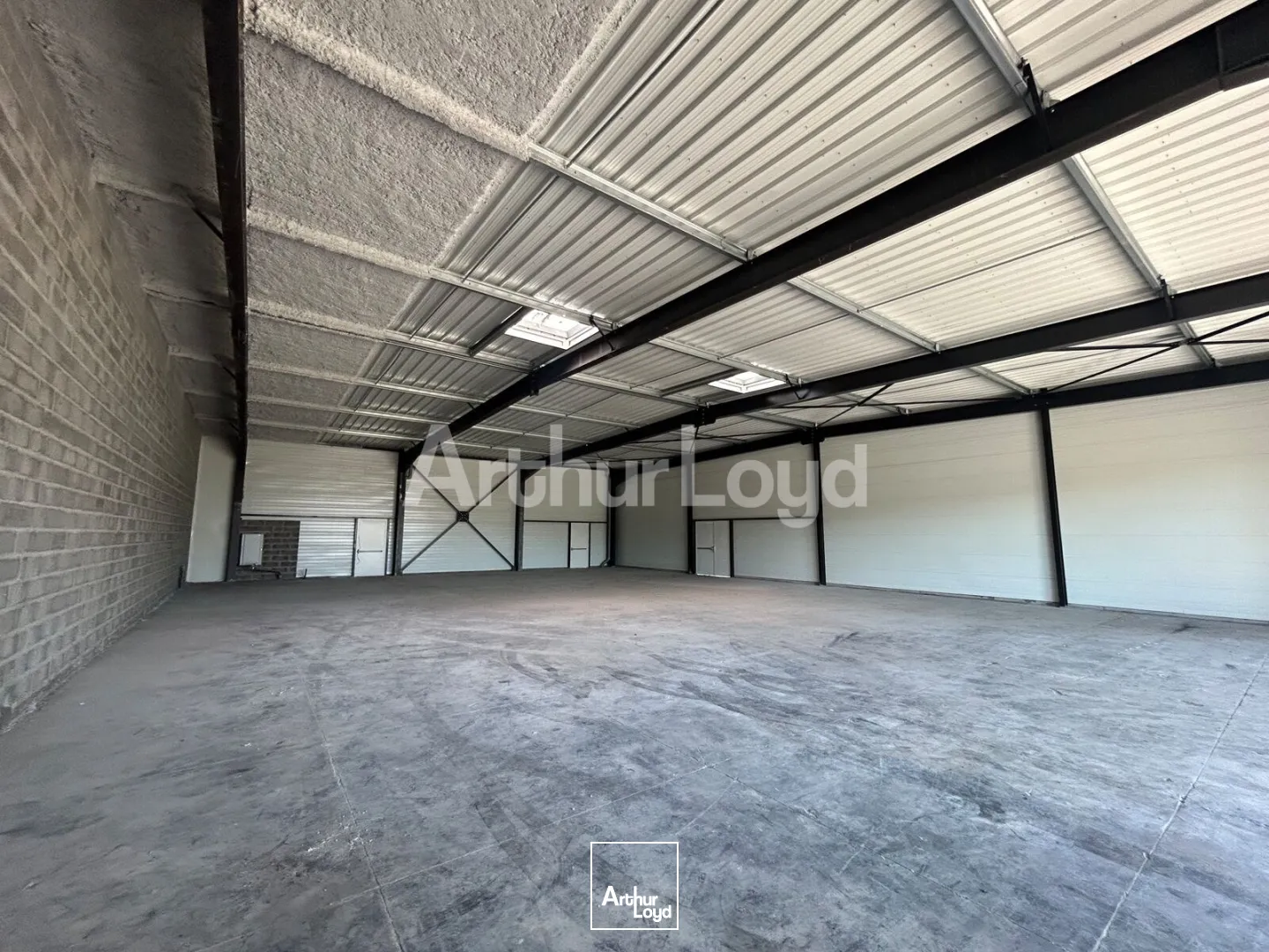 Locaux commerciaux - Location - LYS LEZ LANNOY - 59390 - 384-884 - 7894256