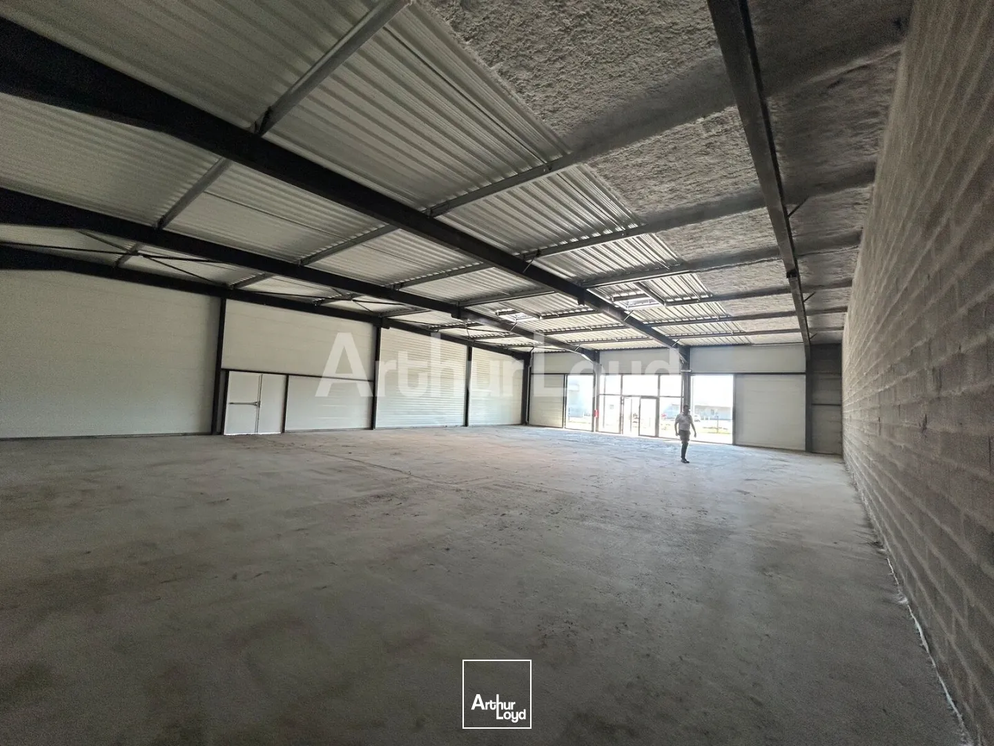 Locaux commerciaux - Location - LYS LEZ LANNOY - 59390 - 384-884 - 7894255