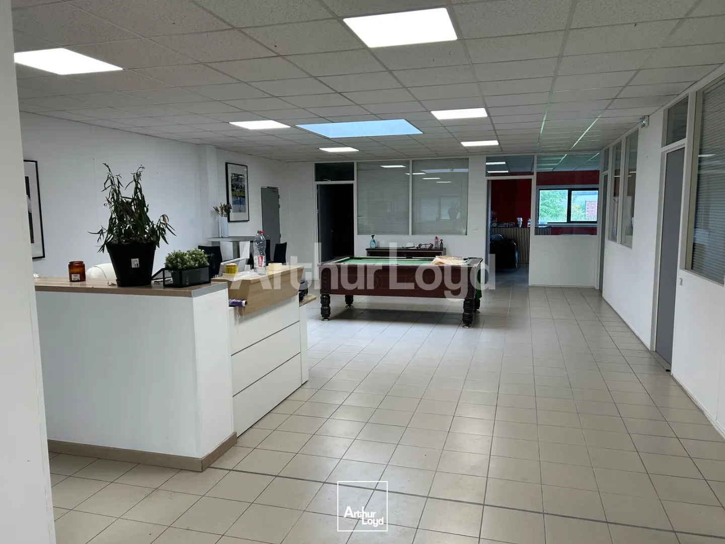 Locaux d'activité & Entrepôts - Vente - TOUFFLERS - 59390 - 440-440 - 7894303