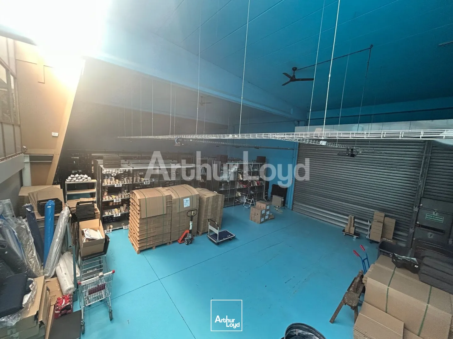 Locaux d'activité & Entrepôts - Vente - HEM - 59510 - 555-555 - 7894334