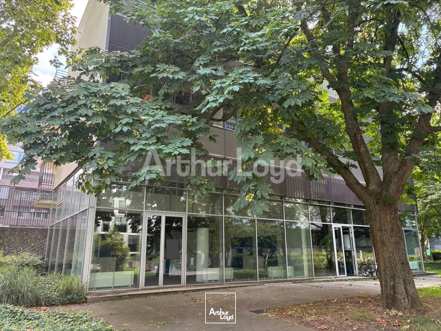 Bureaux - Location - LILLE - 59000 - 200-200 - 7894382