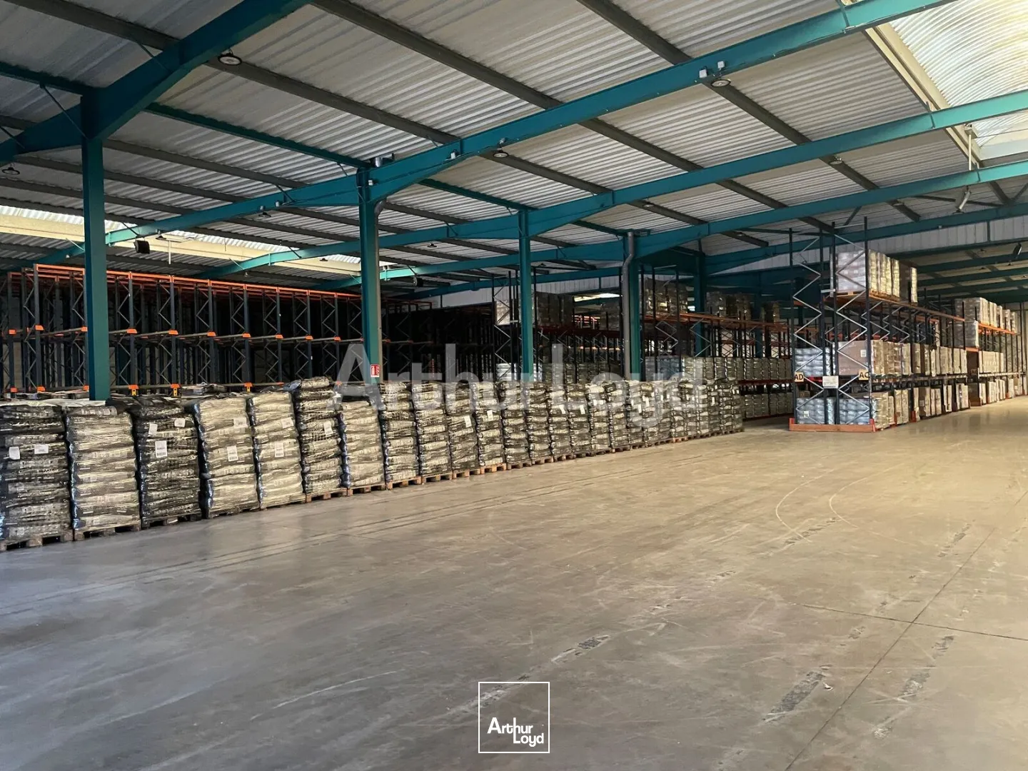 Locaux d'activité & Entrepôts - Location - MONCHY LE PREUX - 62118 - 10390-10390 - 7894390