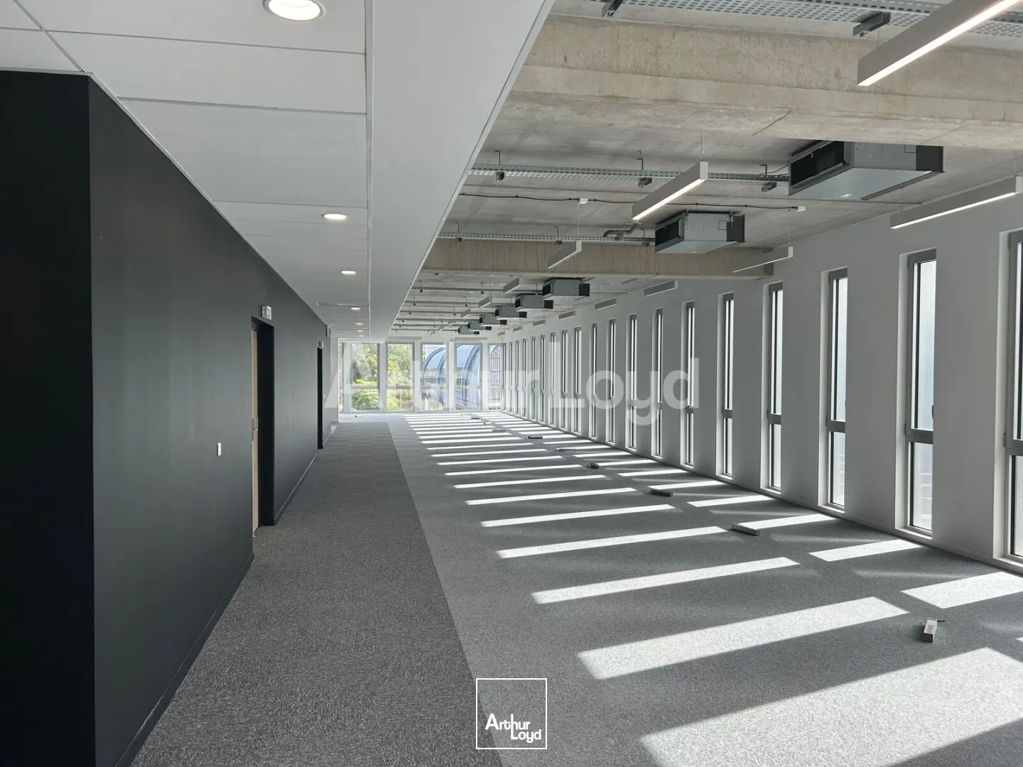 Bureaux - Location - VILLENEUVE D'ASCQ - 59650 - 1189-5234 - 7894926