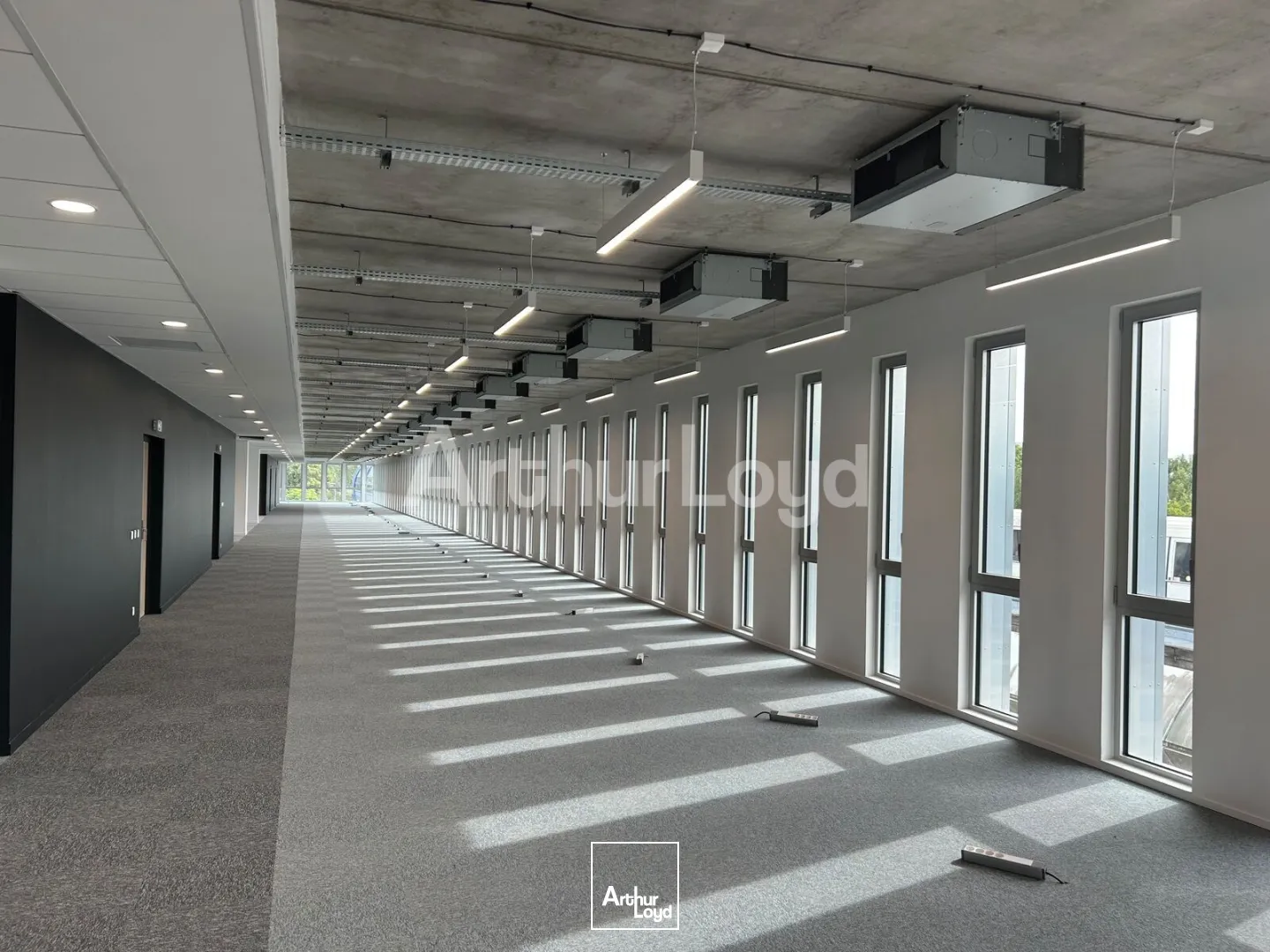 Bureaux - Location - VILLENEUVE D'ASCQ - 59650 - 1189-5234 - 7894928