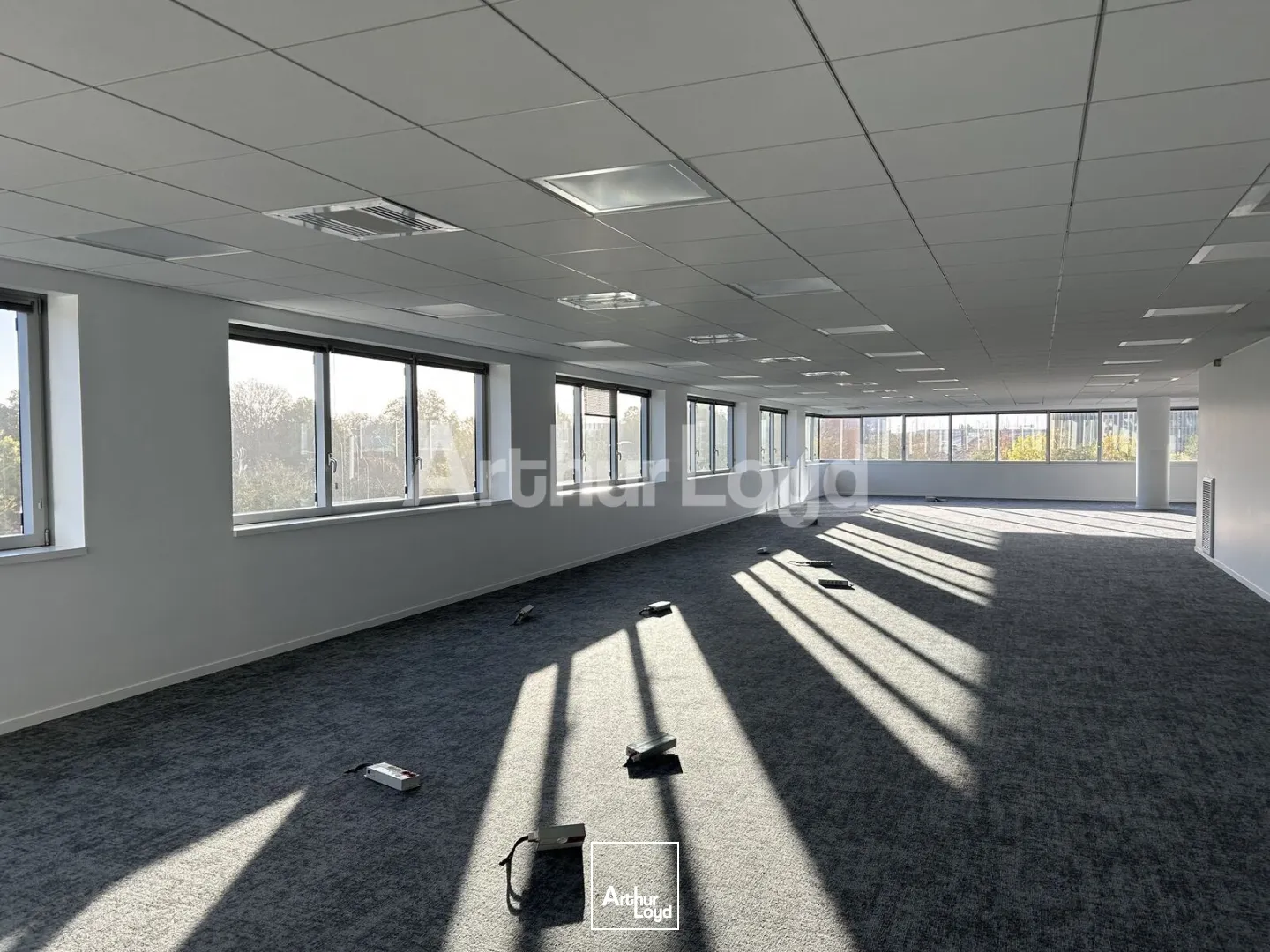 Bureaux - Location - EURALILLE - 59777 - 306-837.8 - 7894963