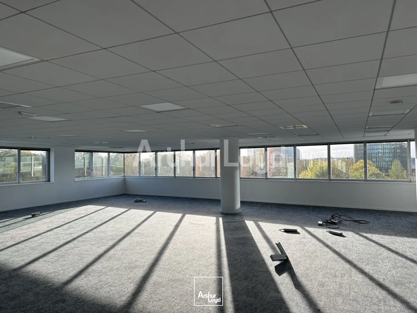 Bureaux - Location - EURALILLE - 59777 - 306-837.8 - 7894967