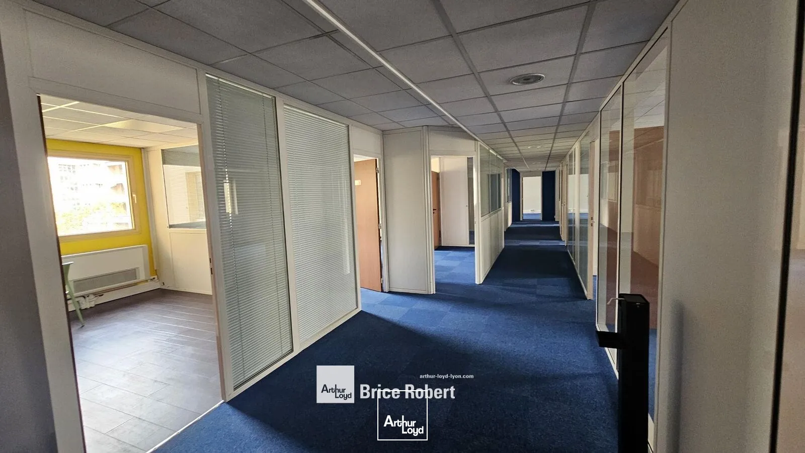 Bureaux - Location - LYON - 69003 - 223.11-1118.44 - 7895242