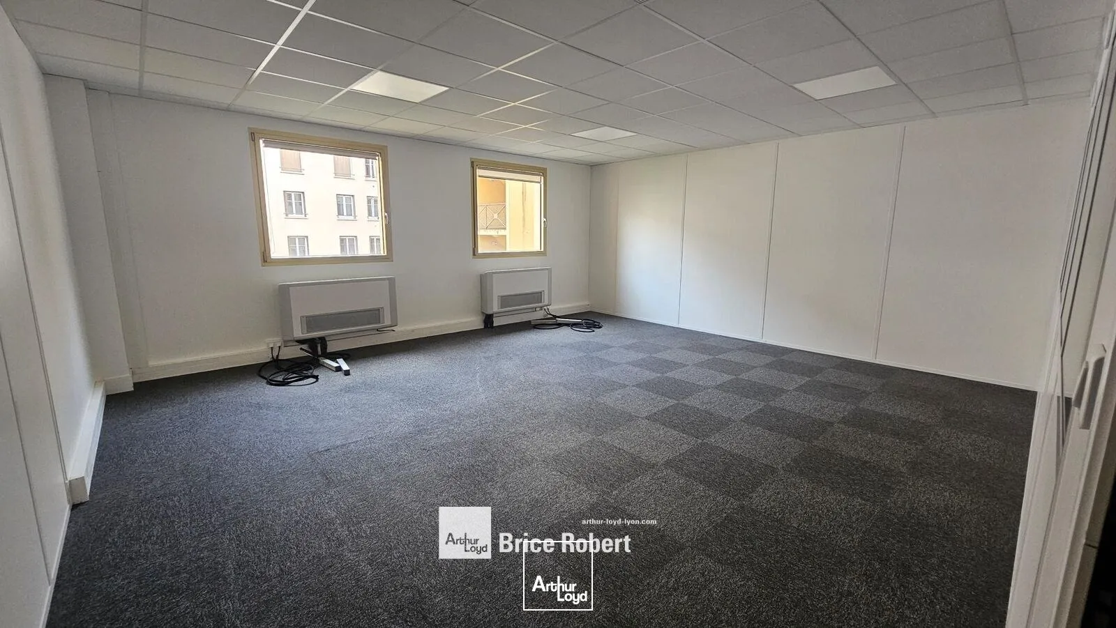 Bureaux - Location - LYON - 69003 - 223.11-1118.44 - 7895244