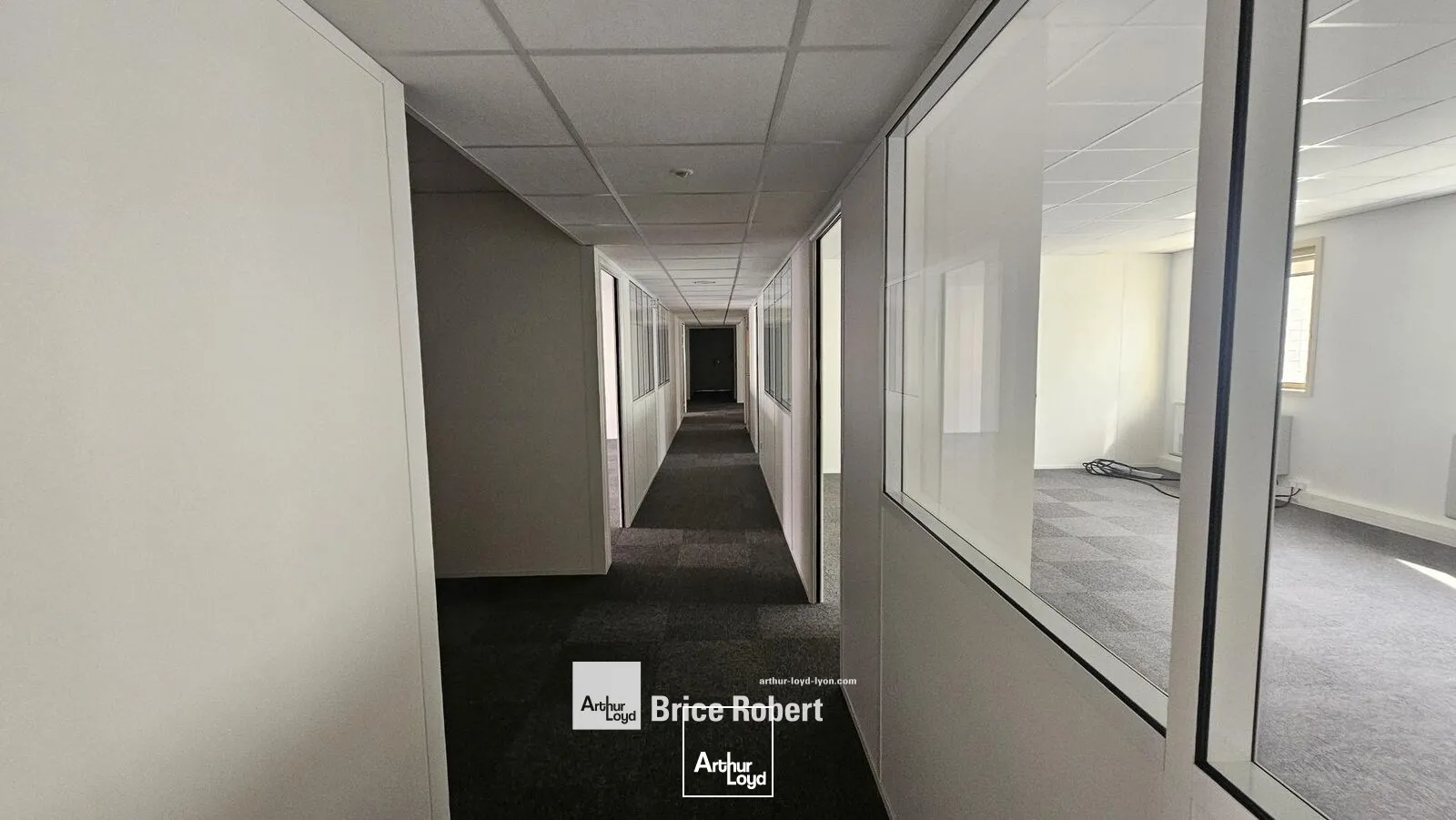 Bureaux - Location - LYON - 69003 - 223.11-1118.44 - 7895246