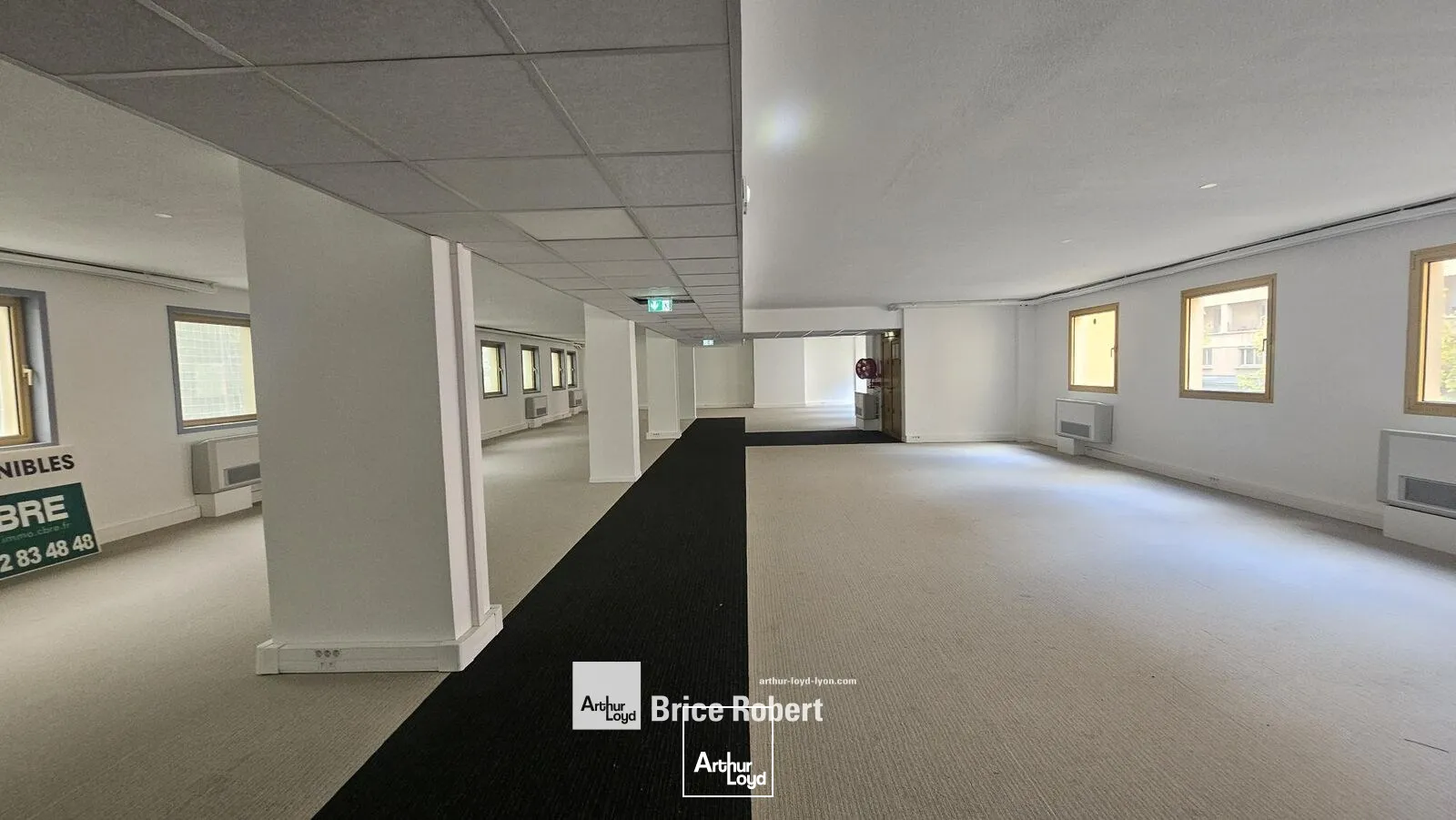 Bureaux - Location - LYON - 69003 - 223.11-1118.44 - 7895239