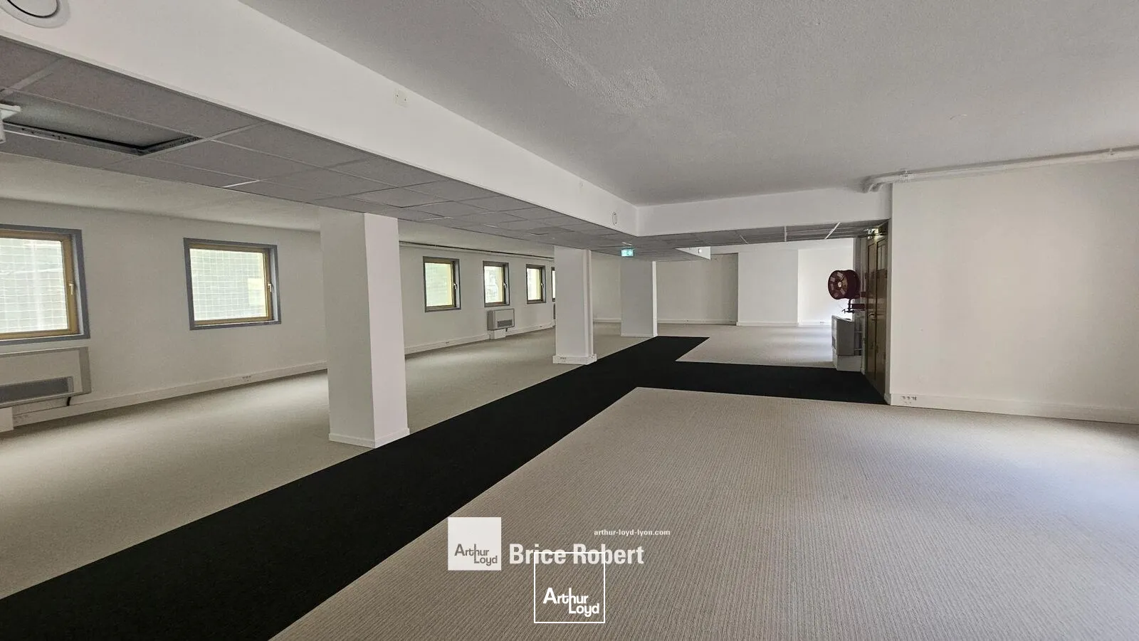 Bureaux - Location - LYON - 69003 - 223.11-1118.44 - 7895241