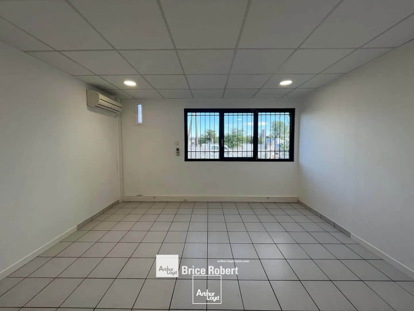 Locaux d'activité & Entrepôts - Location - VILLEURBANNE - 69100 - 300-300 - 7895374