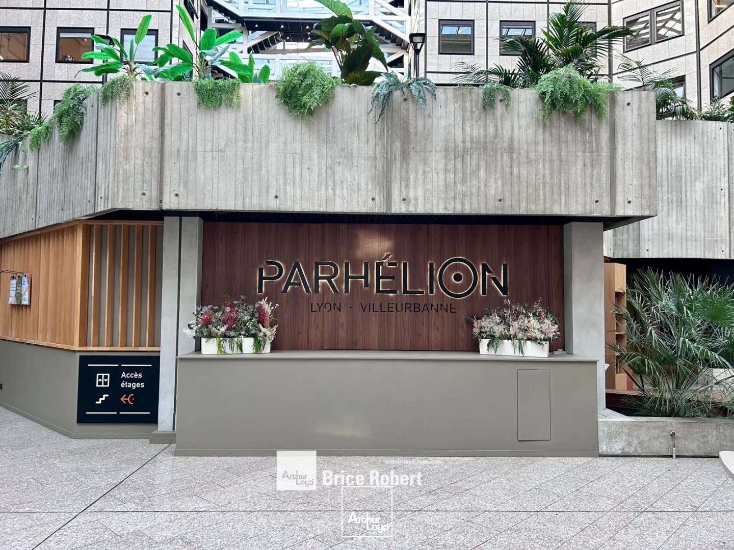 Bureaux - Location - VILLEURBANNE - 69100 - 453-1293 - 7895429