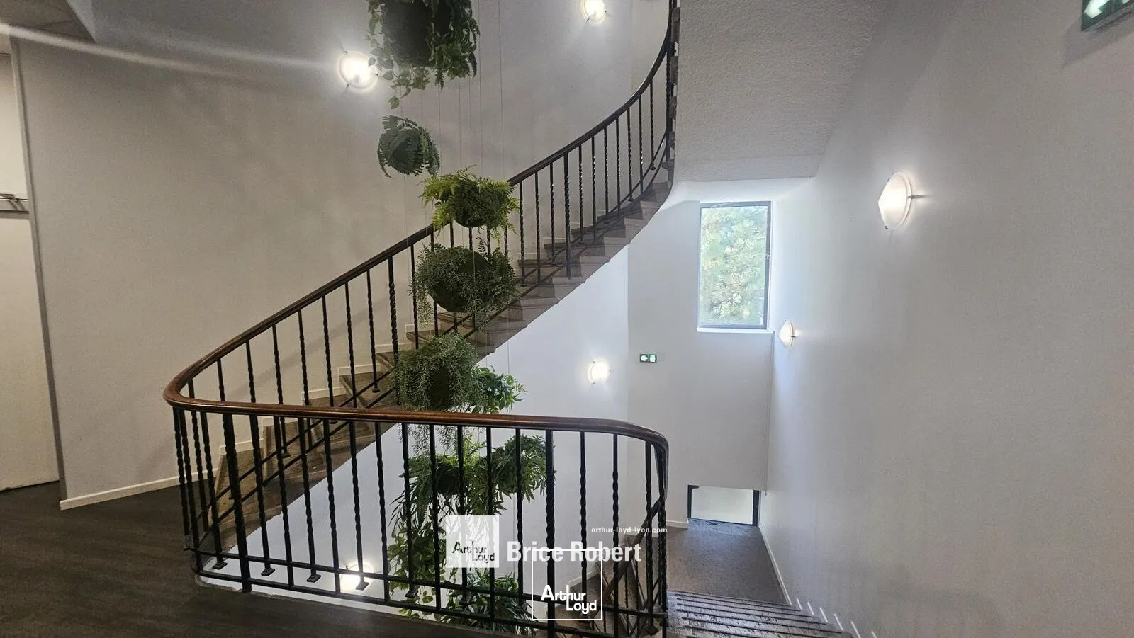 Bureaux - Location - LYON - 69008 - 31-31 - 7895540