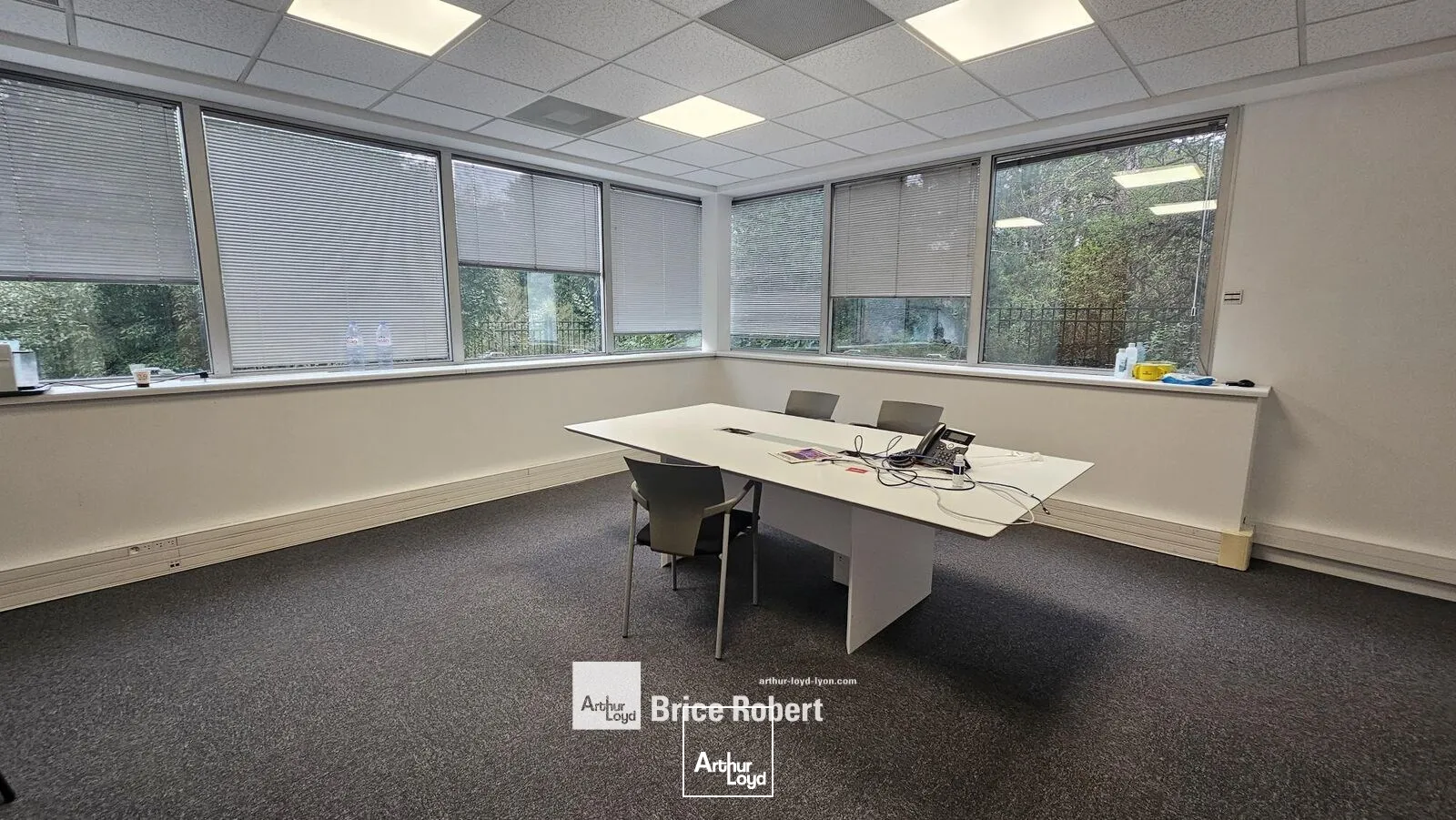 Bureaux - Location - SAINT PRIEST - 69800 - 234-857 - 7895559