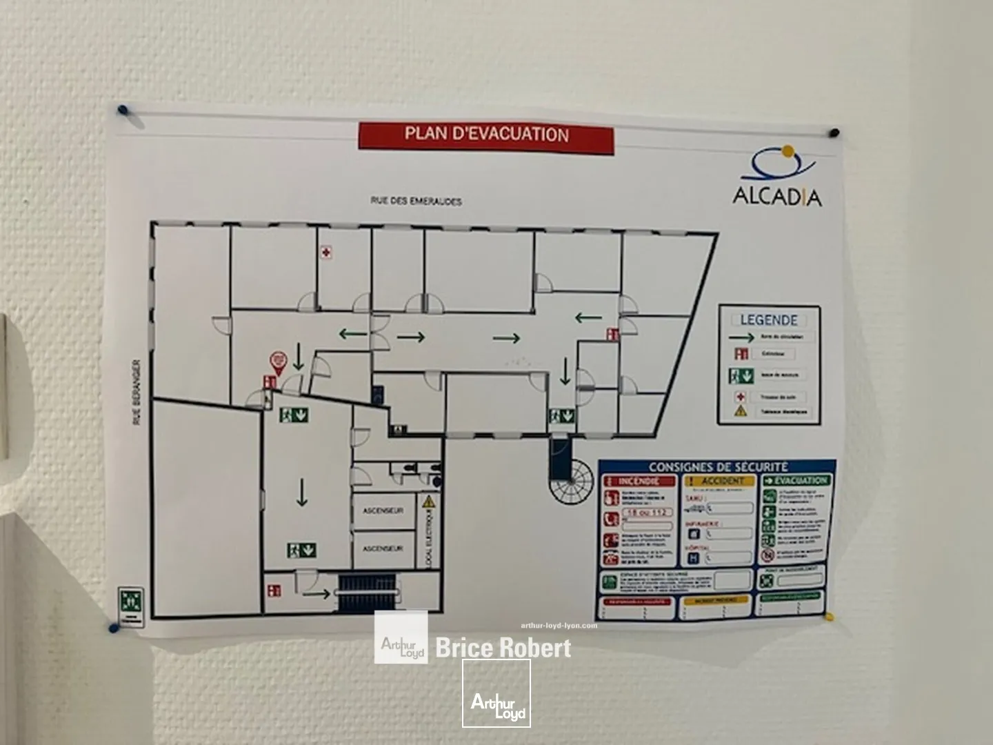 Bureaux - Location - LYON - 69006 - 273-273 - 7895576