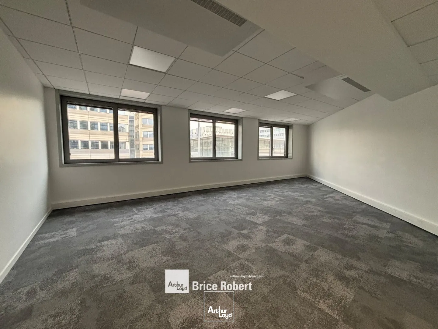 Bureaux - Location - LYON - 69003 - 424-424 - 7895593