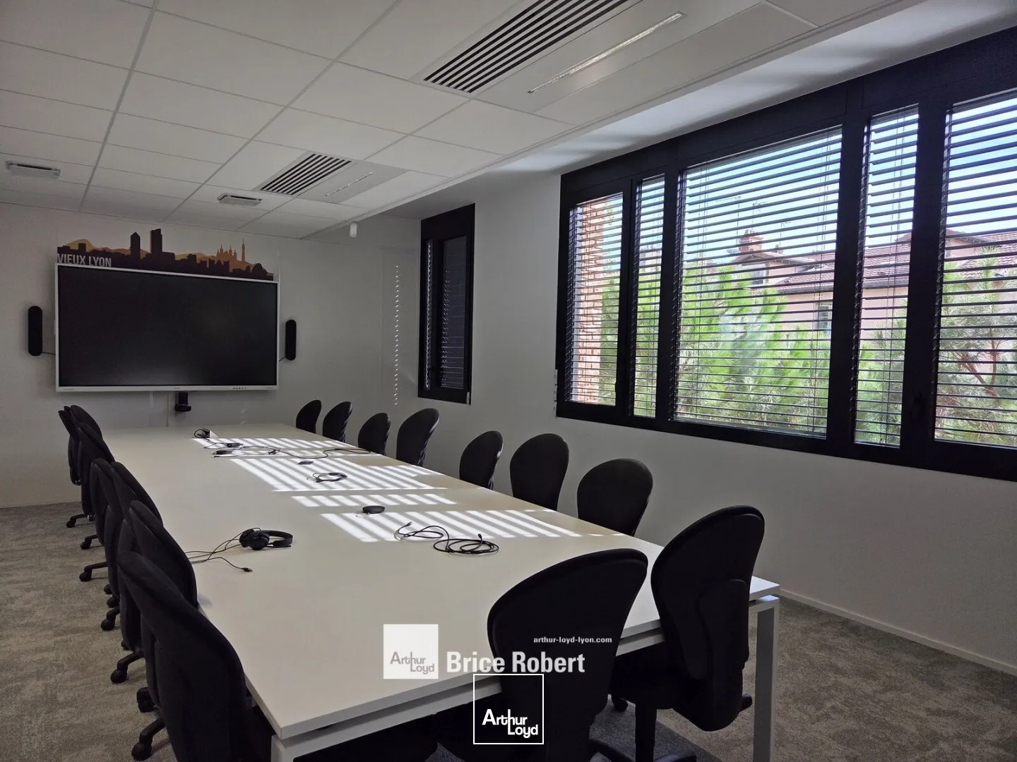Bureaux - Location - LYON - 69009 - 2532-2532 - 7895628