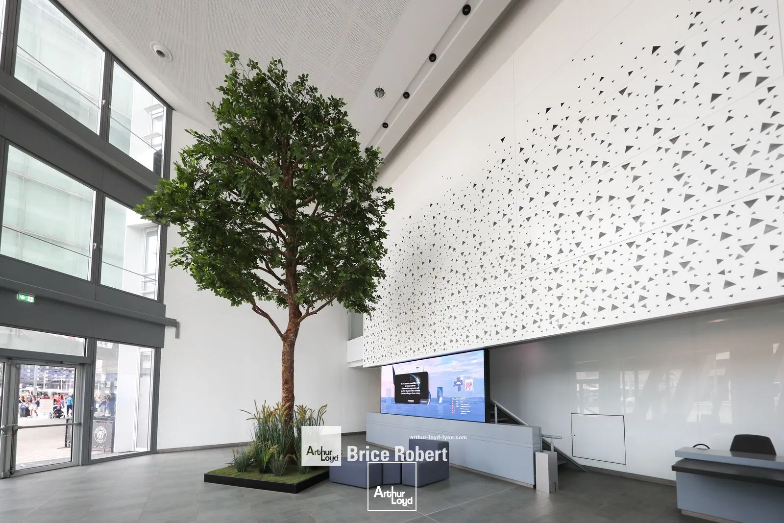 Bureaux - Location - LYON - 69003 - 352.1-352.1 - 7895676