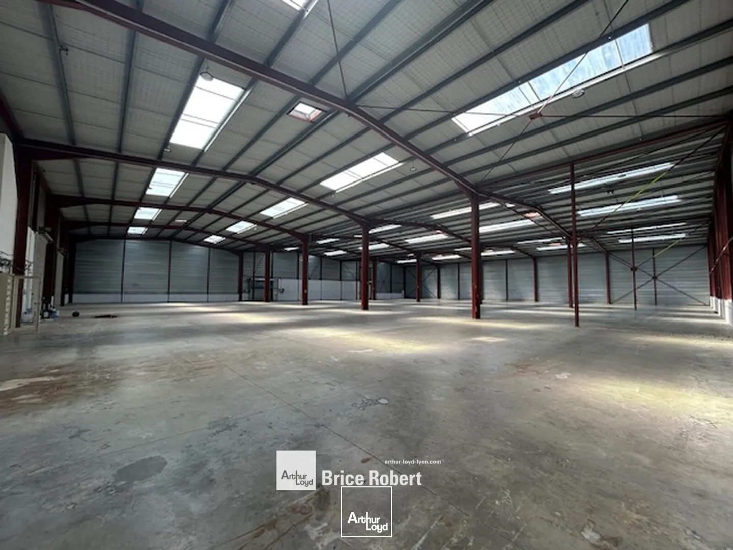 Locaux d'activité & Entrepôts - Location - MIRIBEL - 01700 - 3603-3603 - 7895884