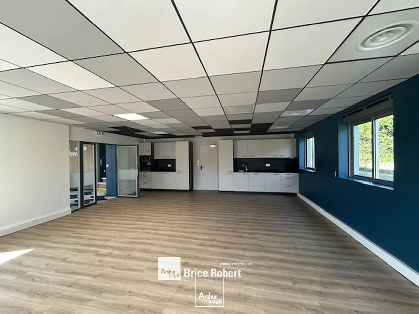 Locaux d'activité & Entrepôts - Location - MIRIBEL - 01700 - 3603-3603 - 7895888