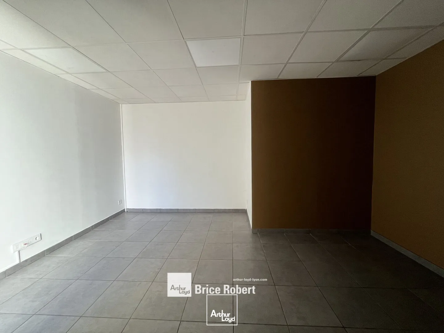 Locaux d'activité & Entrepôts - Location - TOUSSIEU - 69780 - 175-175 - 7895890
