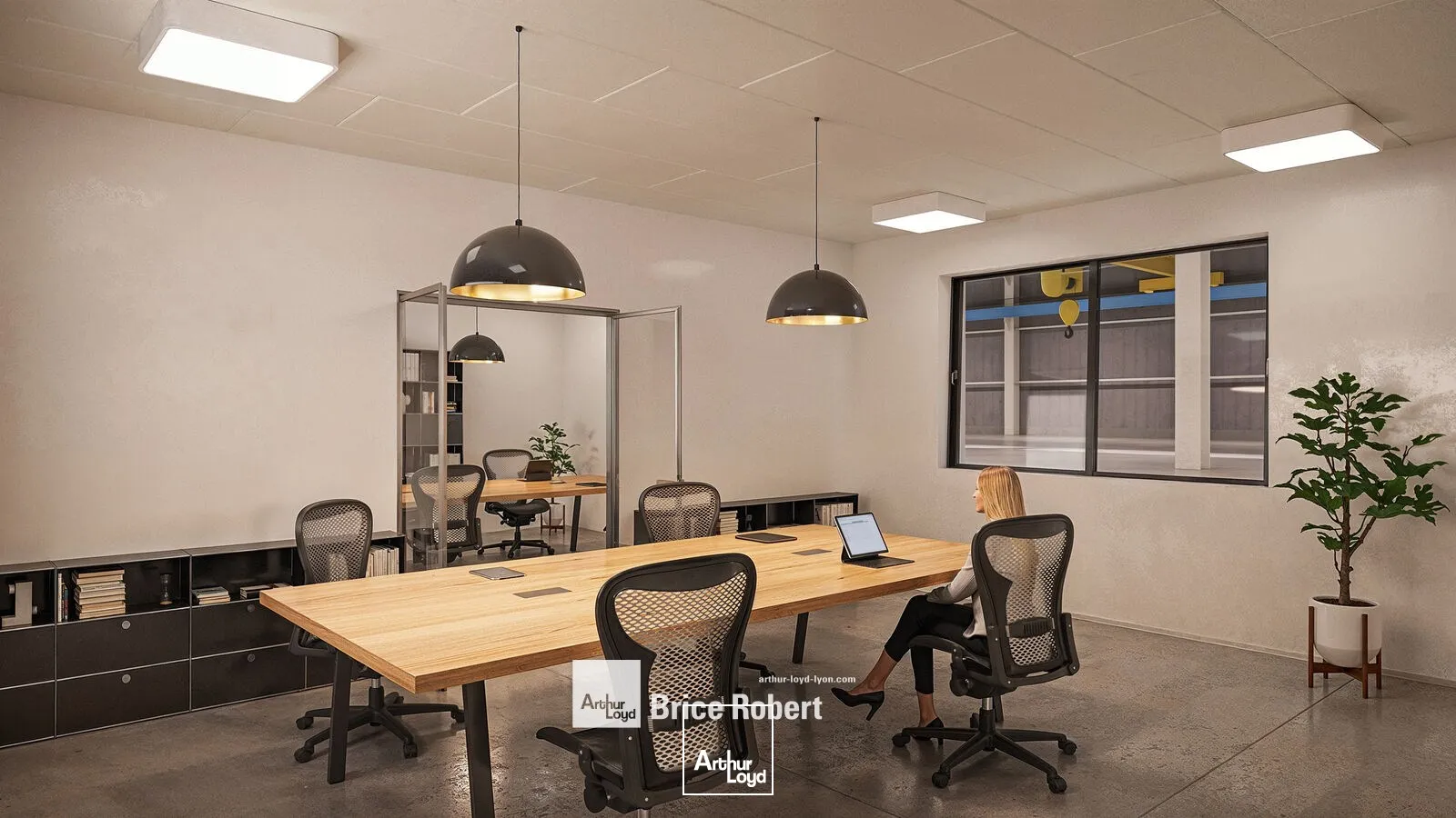 Locaux d'activité & Entrepôts - Location - MEYZIEU - 69330 - 5395-5395 - 7895909