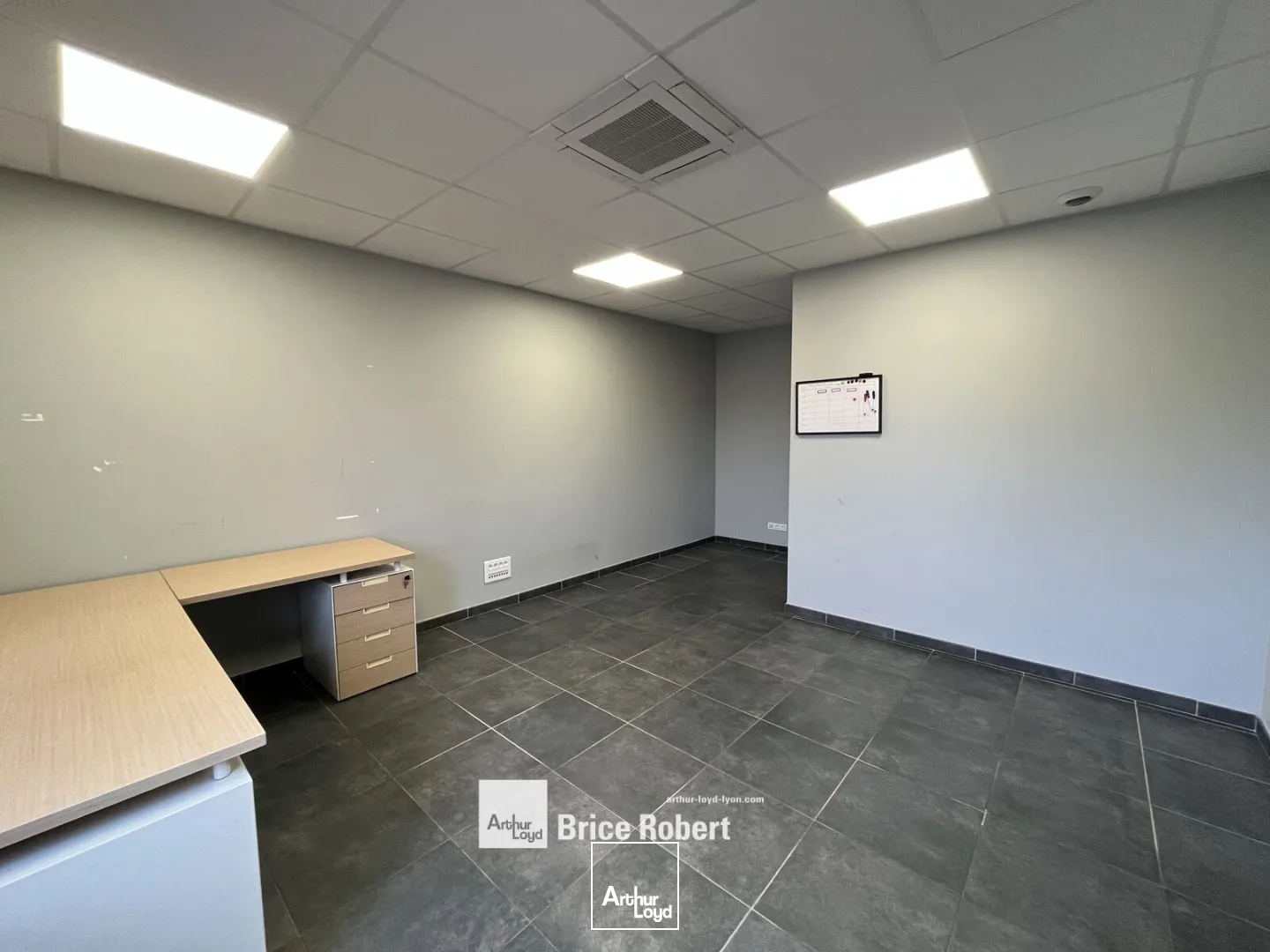 Locaux d'activité & Entrepôts - Location - PUSIGNAN - 69330 - 363-363 - 7895920