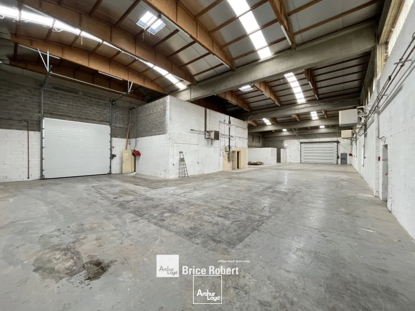 Locaux d'activité & Entrepôts - Location - CHASSIEU - 69680 - 806-806 - 7895950