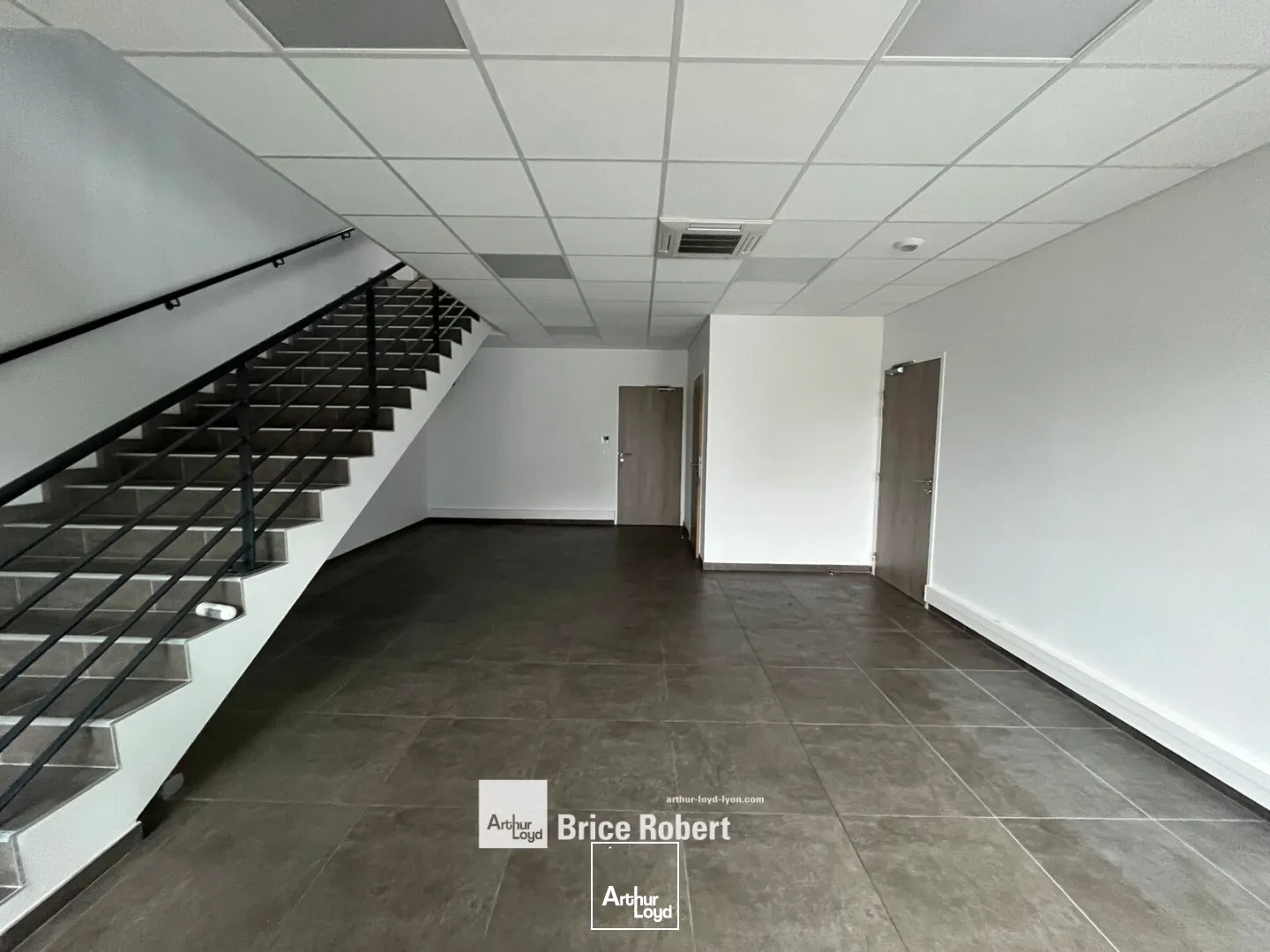 Locaux d'activité & Entrepôts - Location - CHASSIEU - 69680 - 243-866 - 7896008