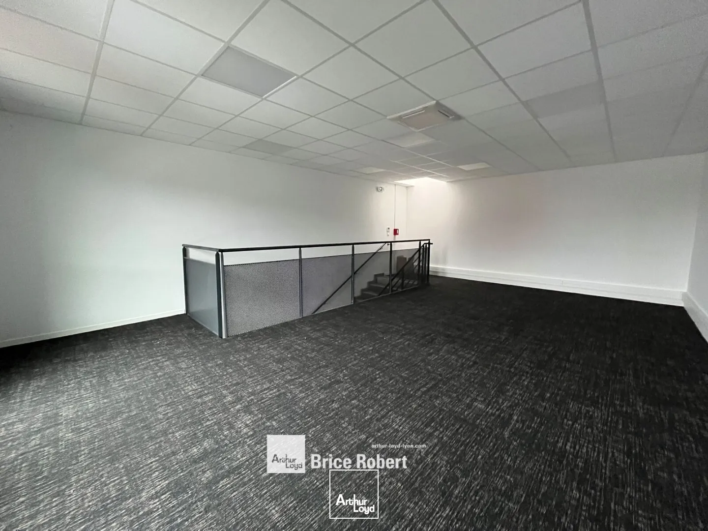 Locaux d'activité & Entrepôts - Location - CHASSIEU - 69680 - 243-866 - 7896009