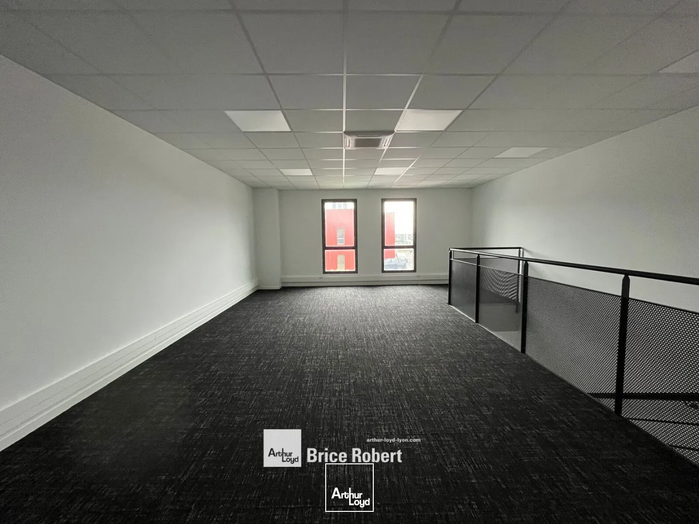 Locaux d'activité & Entrepôts - Location - CHASSIEU - 69680 - 243-866 - 7896010