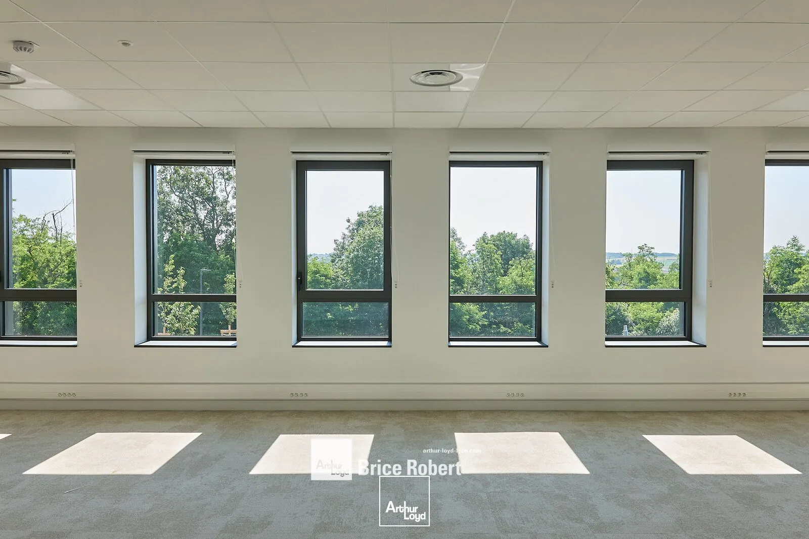 Locaux d'activité & Entrepôts - Location - MIONNAY - 01390 - 3026-35487 - 7896016