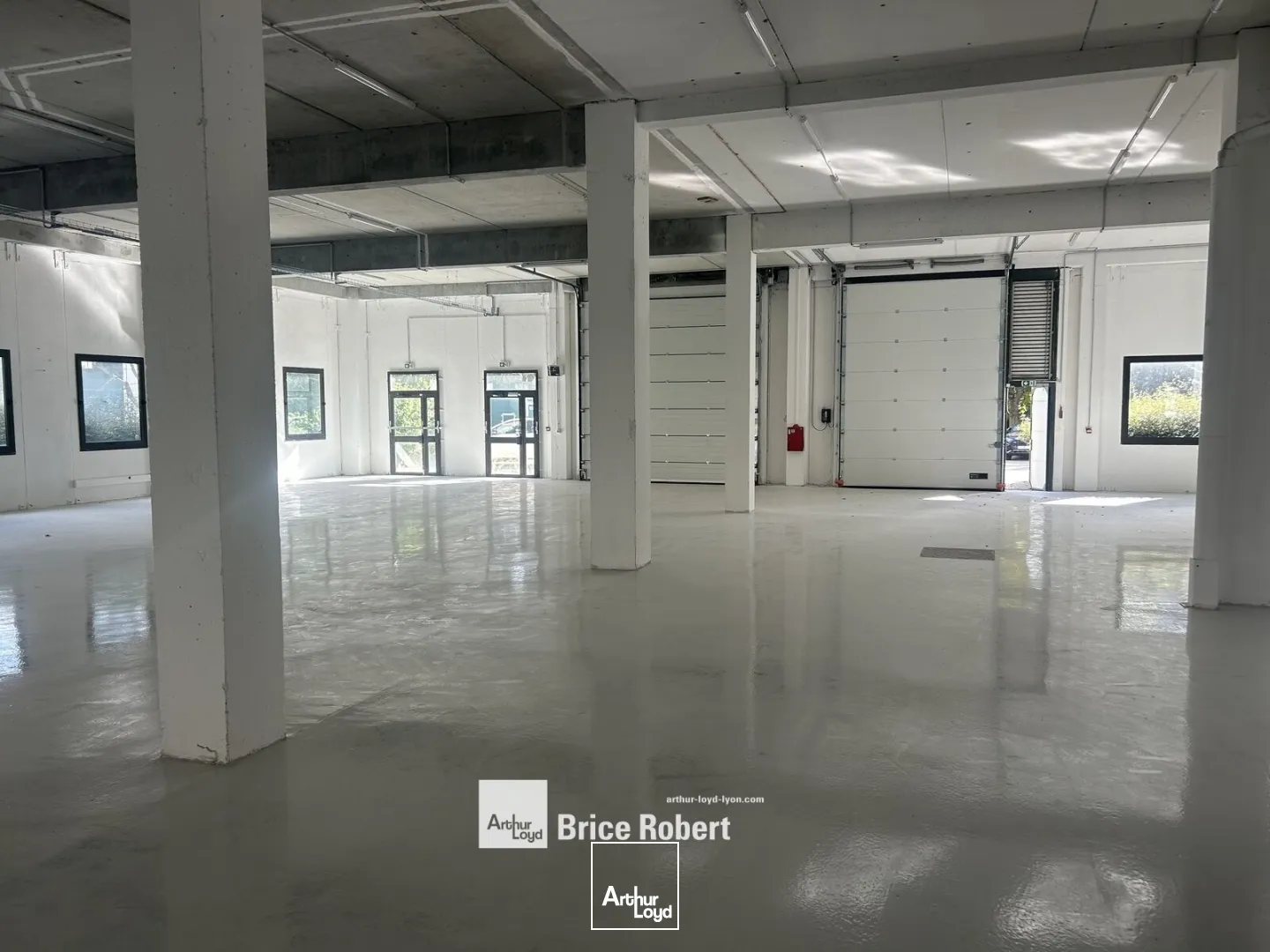 Locaux d'activité & Entrepôts - Location - LIMONEST - 69760 - 129-3253 - 7896125