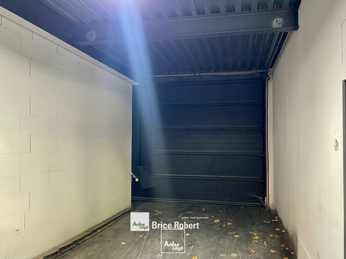 Locaux d'activité & Entrepôts - Location - DARDILLY - 69570 - 268-856 - 7896172