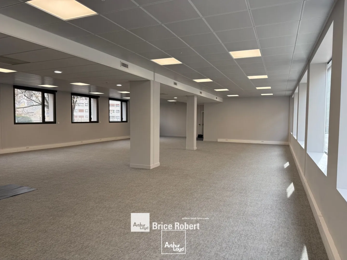 Bureaux - Location - LYON - 69003 - 124.4-1437.8 - 7896180