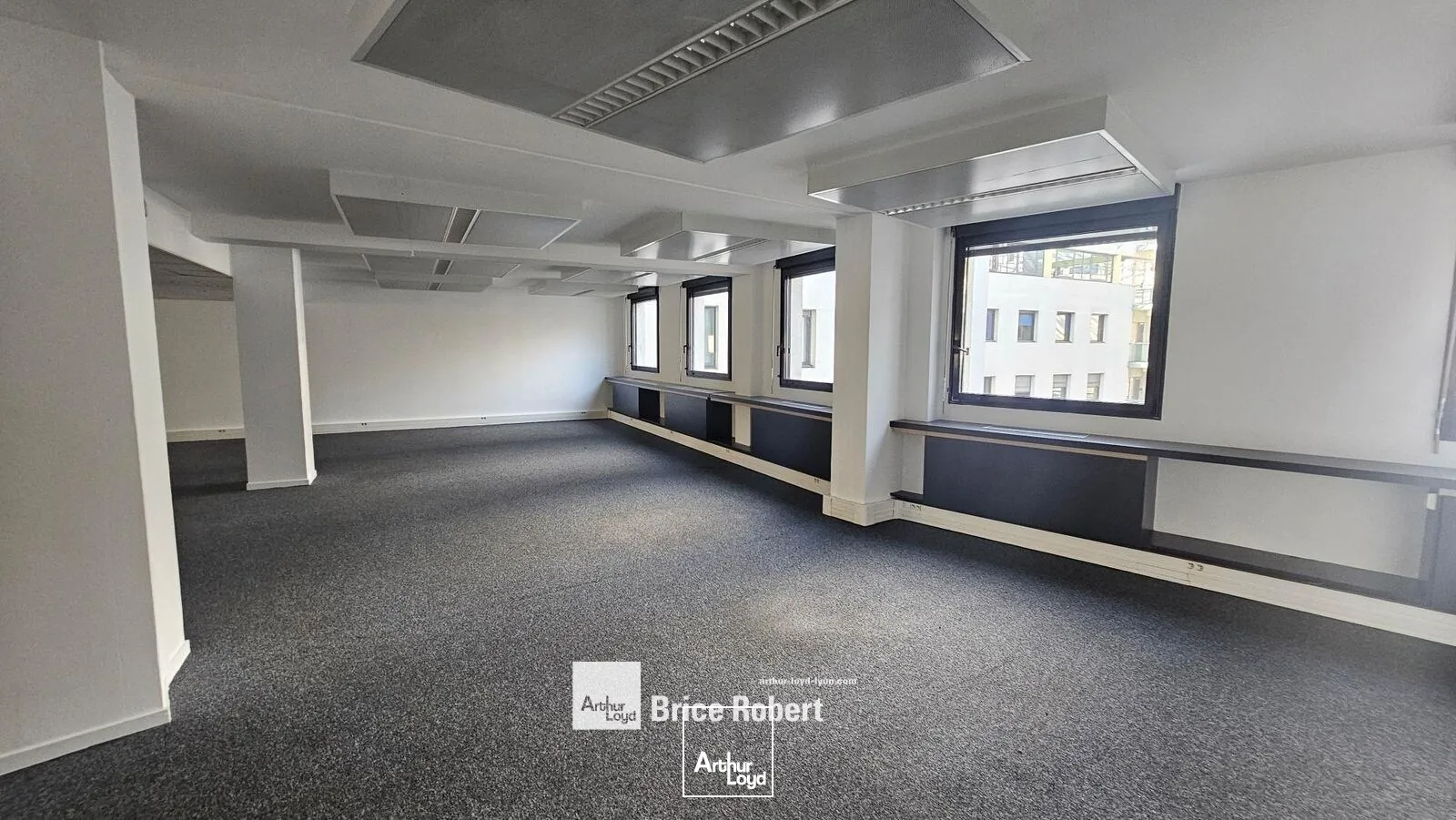 Bureaux - Location - LYON - 69003 - 107.25-3709.72 - 7896188