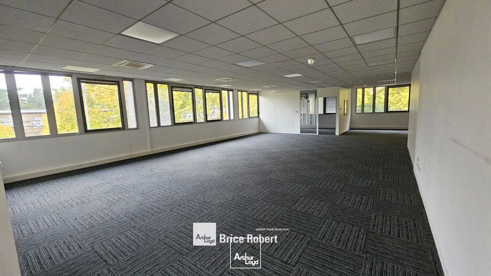 Bureaux - Location - VILLEURBANNE - 69100 - 993-993 - 7896196