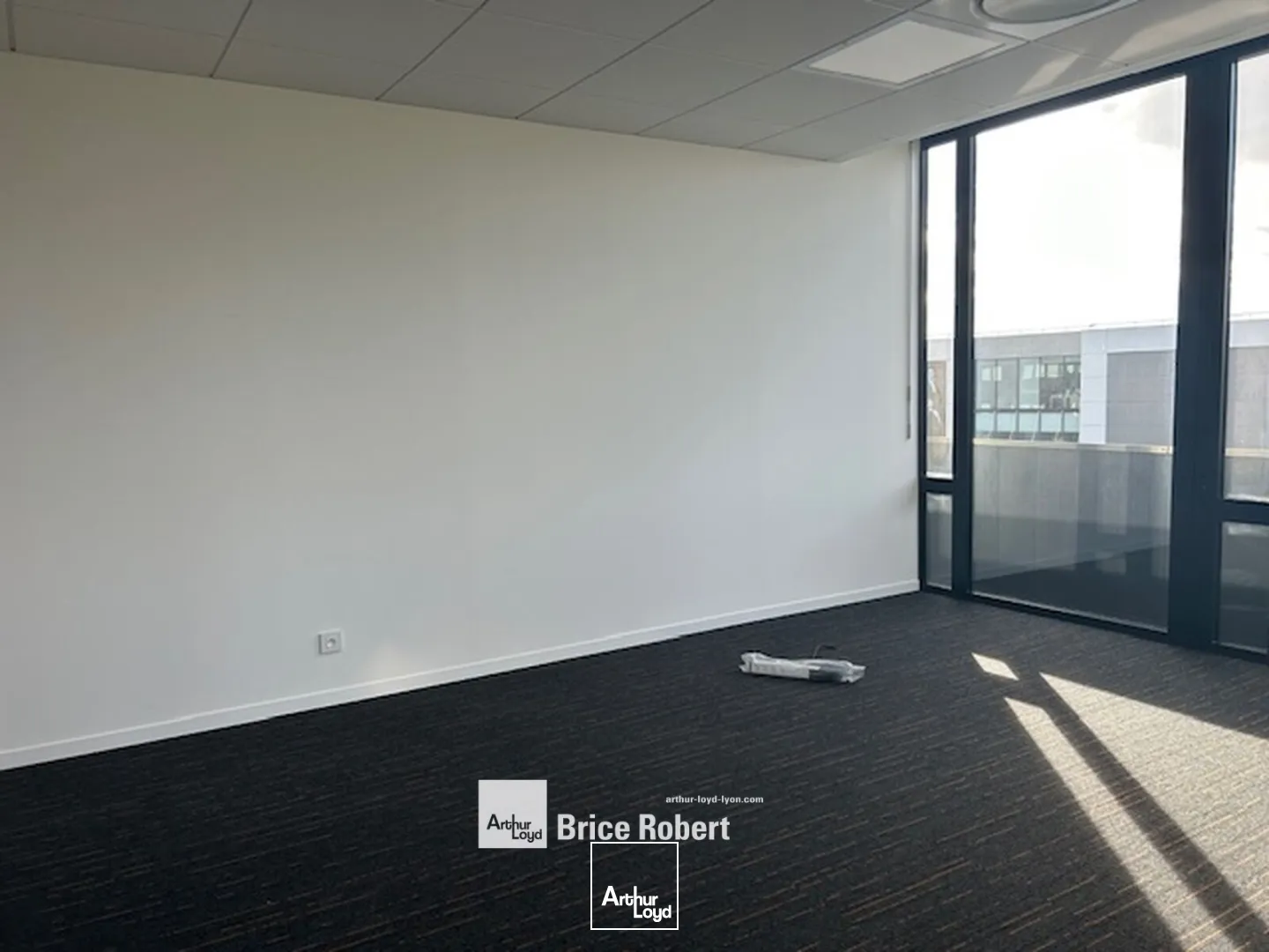 Bureaux - Location - LIMONEST - 69760 - 217-217 - 7896244