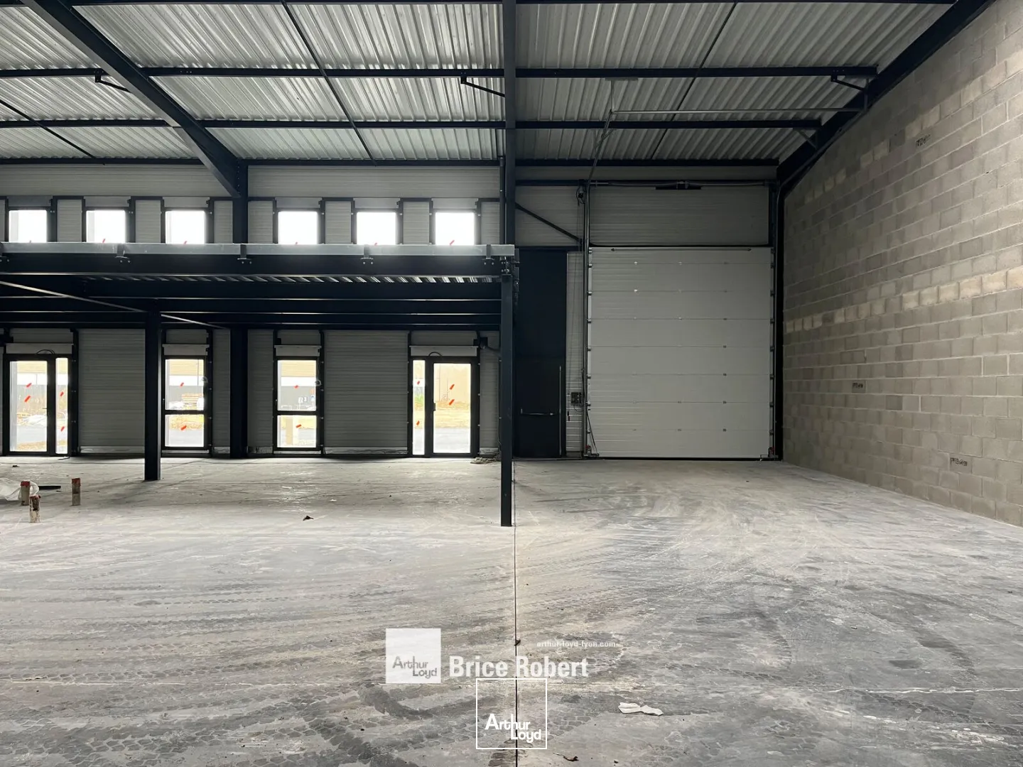 Locaux d'activité & Entrepôts - Vente - MIONNAY - 01390 - 259-259 - 7896307